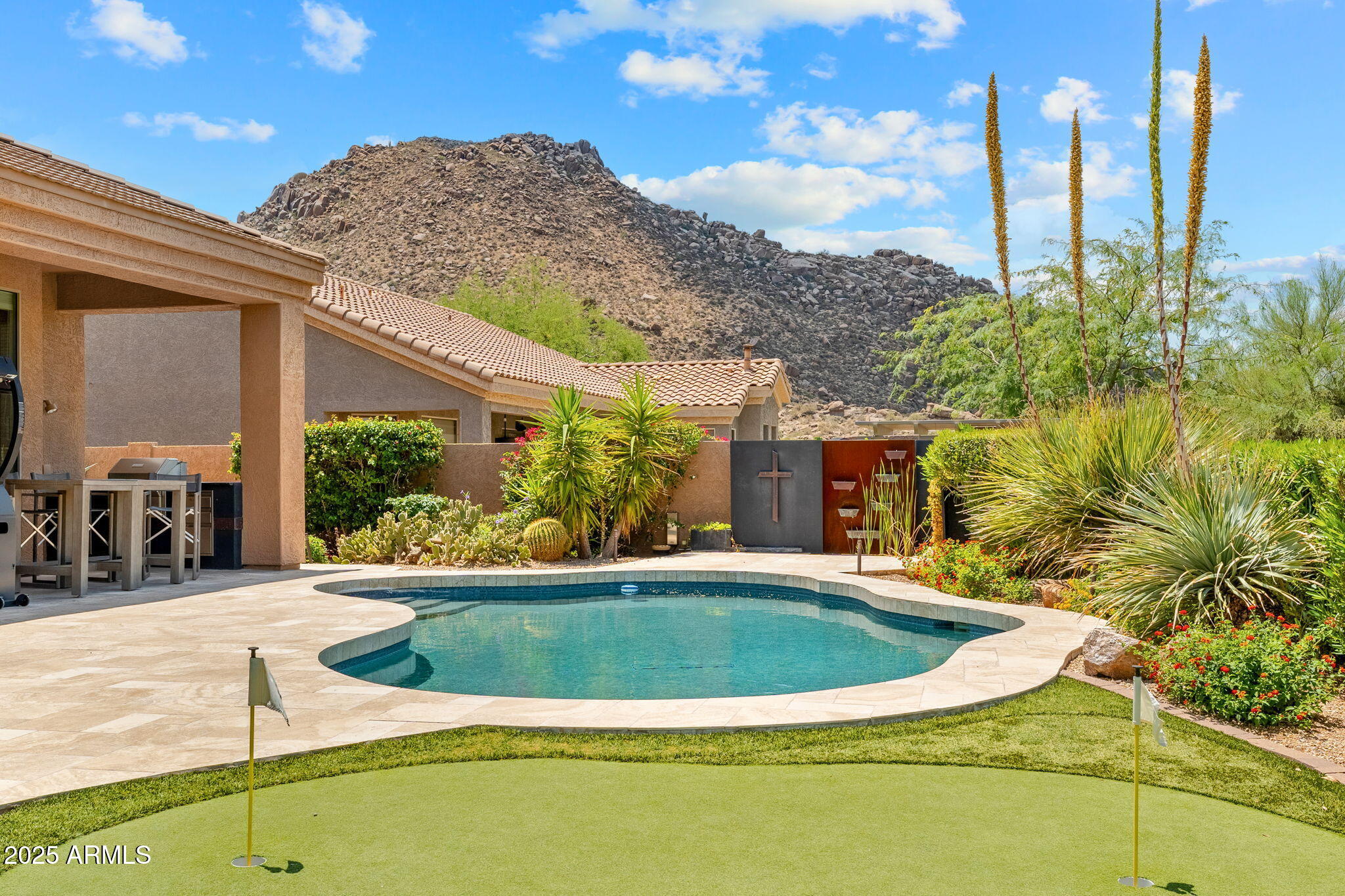 11324 E DIAMOND CHOLLA Drive
