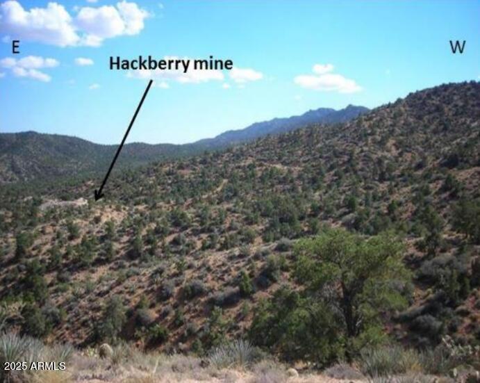 - Hackberry Mine Mohave County, -