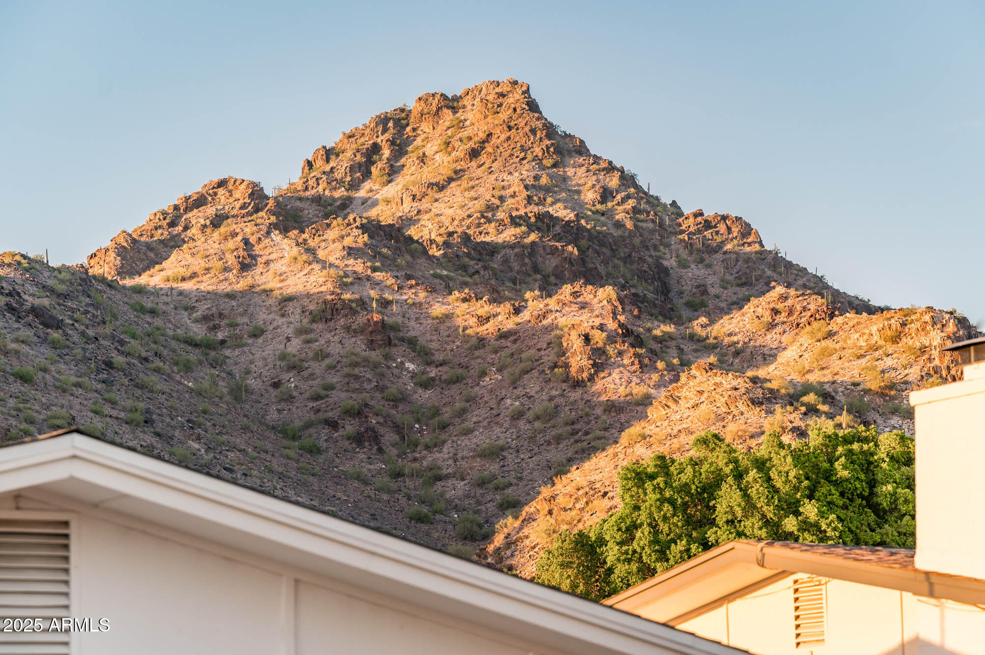 2431 E OCOTILLO Road