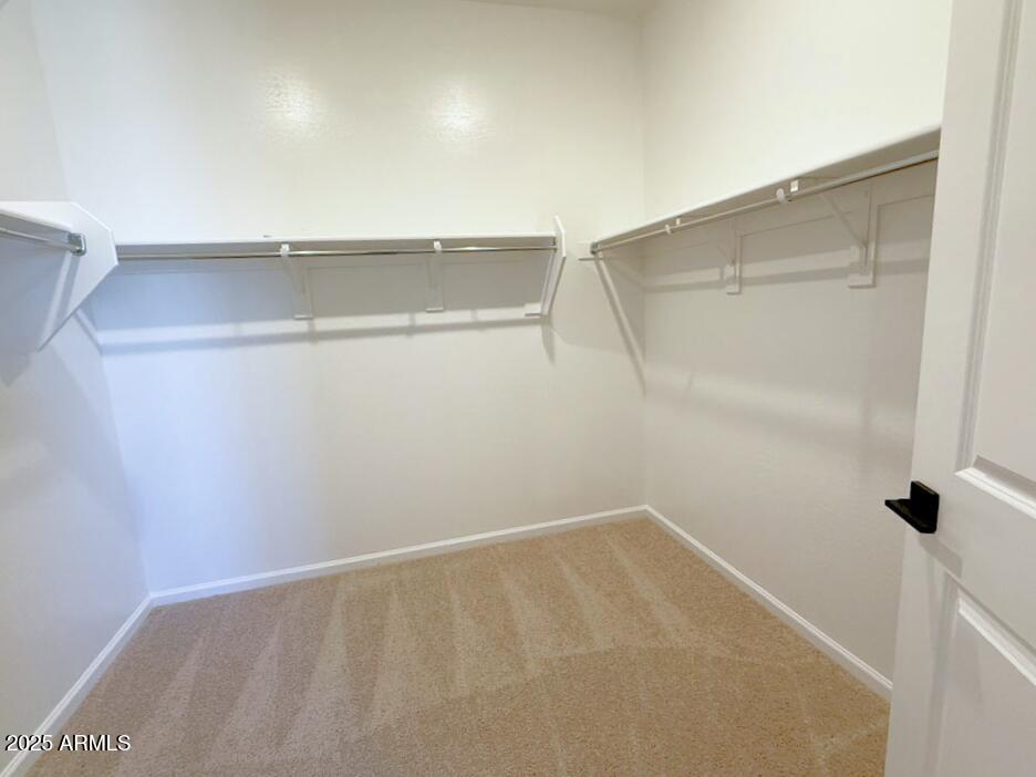 6466 E FIDDLENECK Way