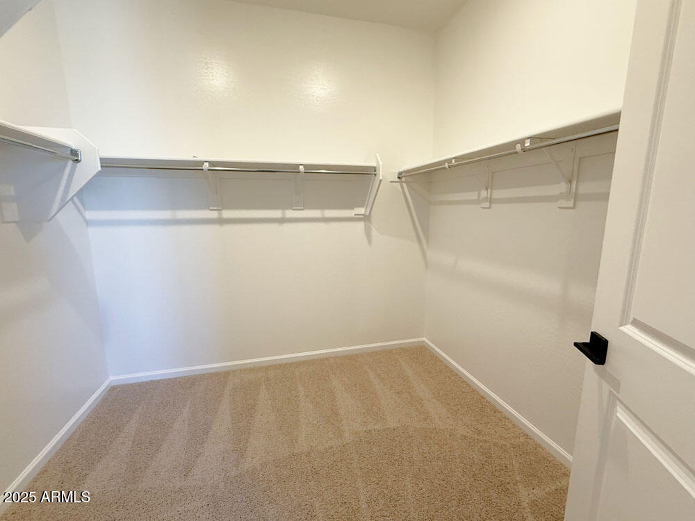 6466 E FIDDLENECK Way