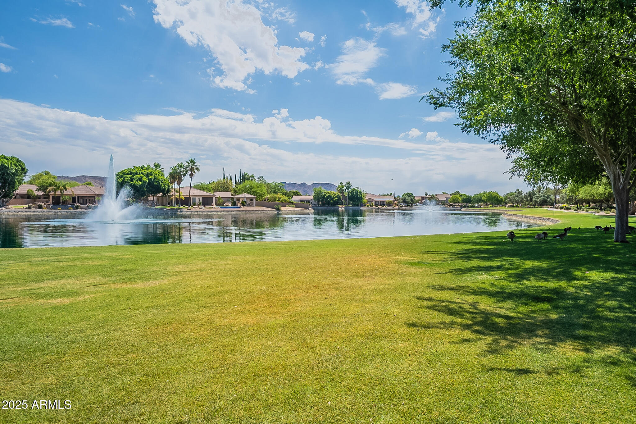 7193 W MOHAWK Lane, Glendale