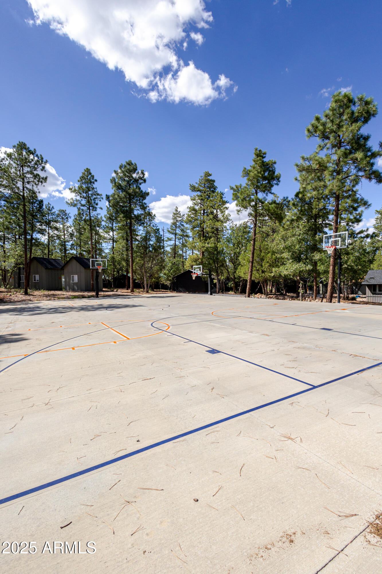 6385 W WHITE MOUNTAIN Boulevard