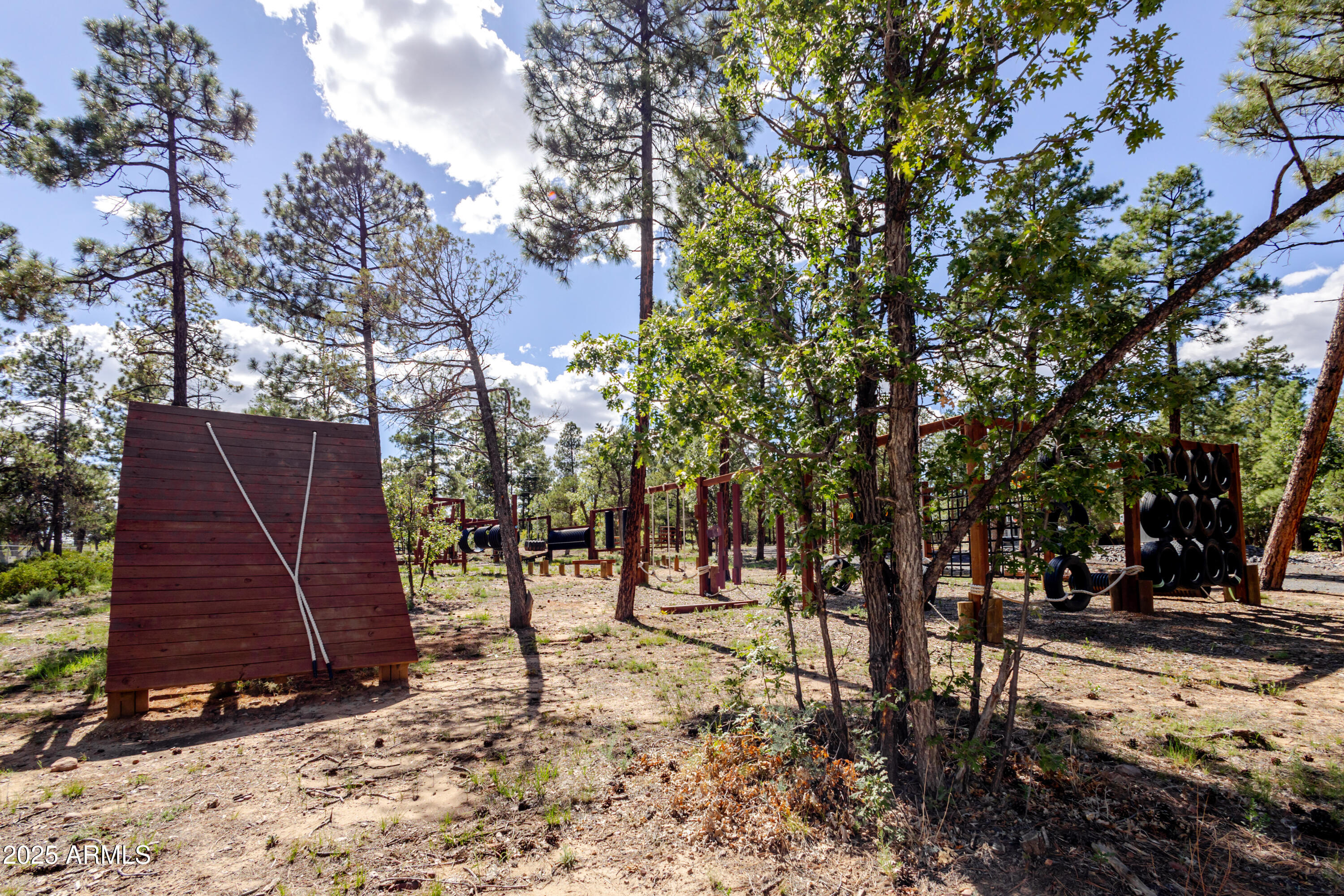 6385 W WHITE MOUNTAIN Boulevard