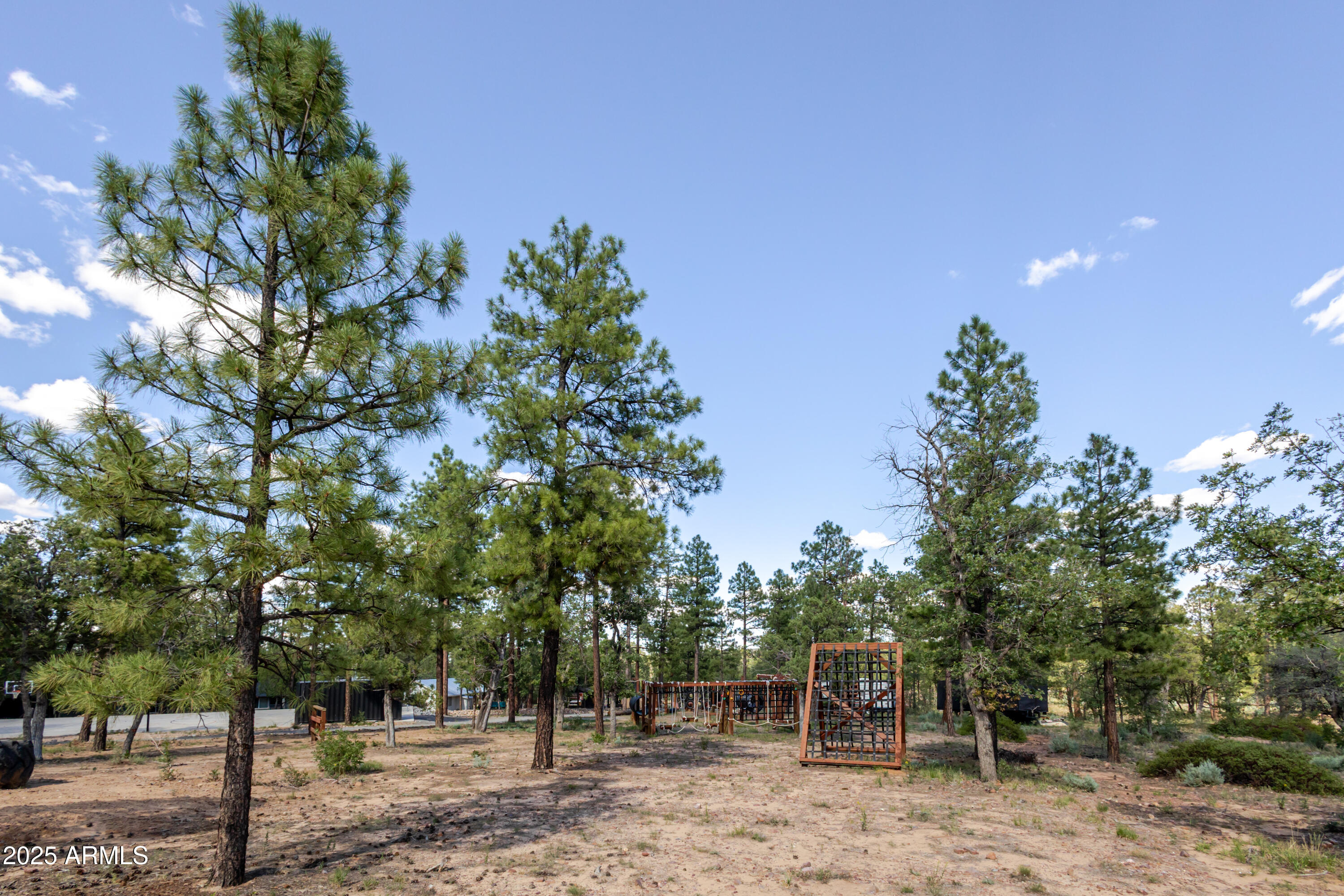 6385 W WHITE MOUNTAIN Boulevard