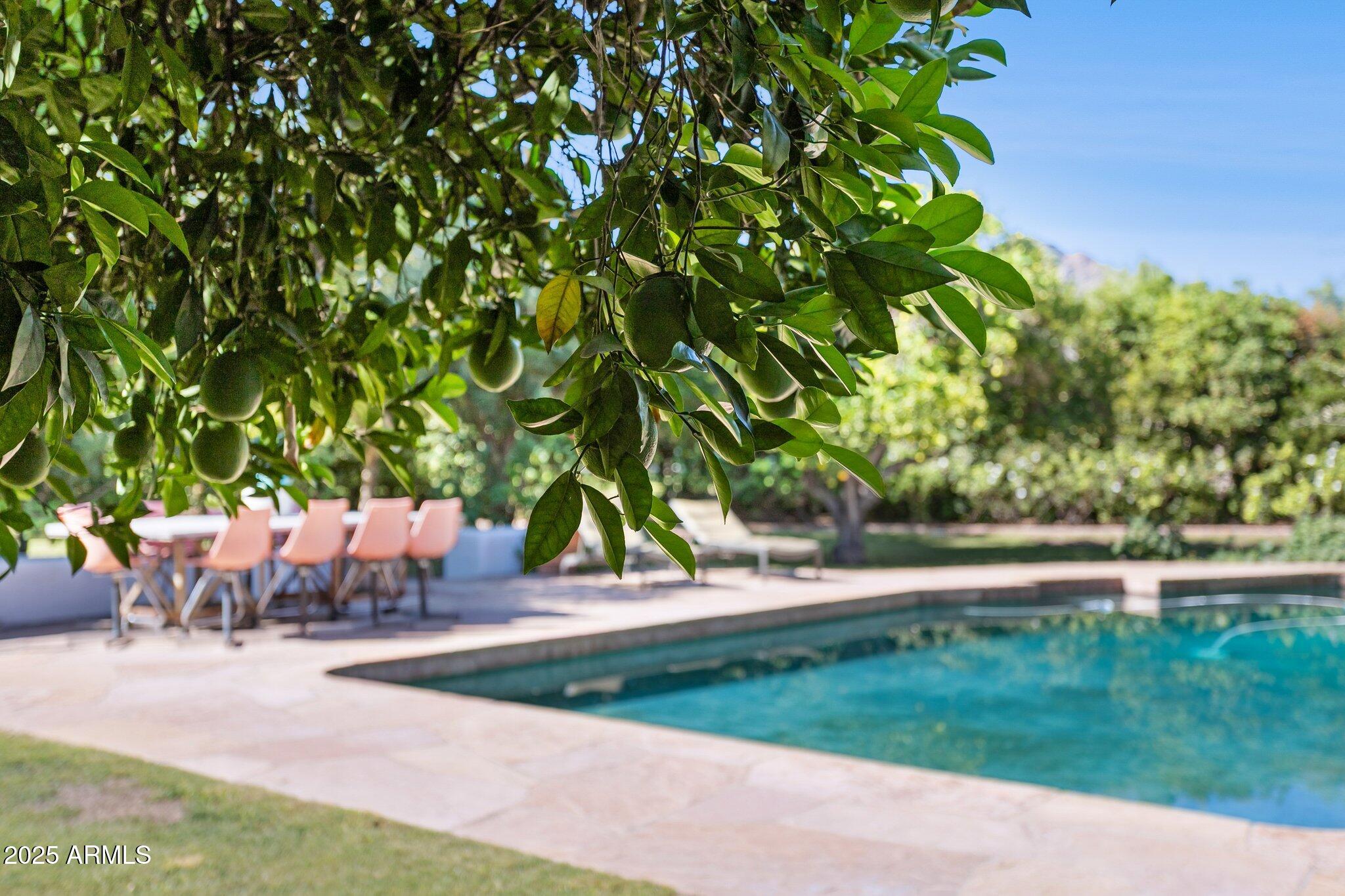 7005 E JACKRABBIT Road