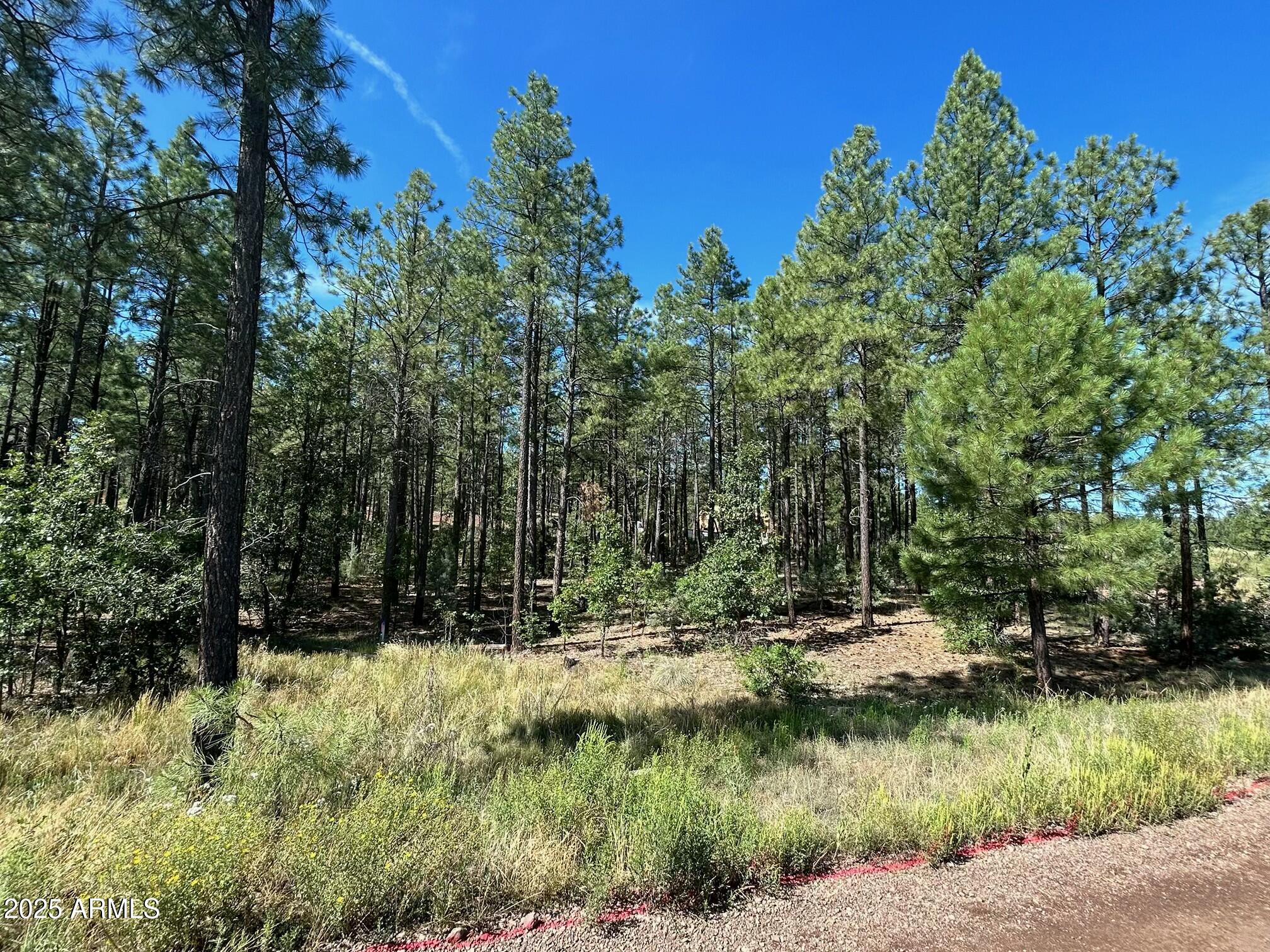 3680 W SAGE Lane 260