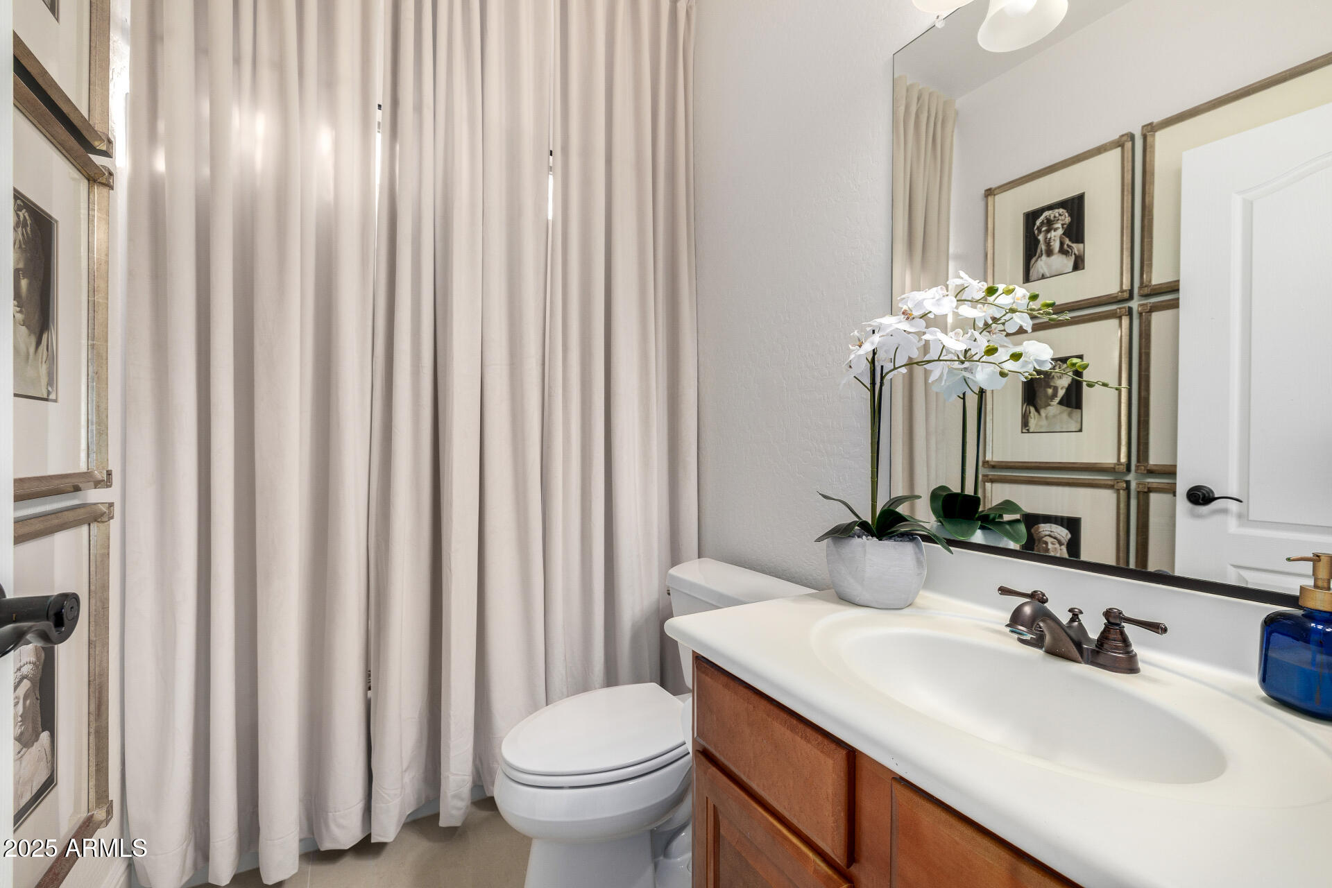 377 W DESERT BROOM Drive