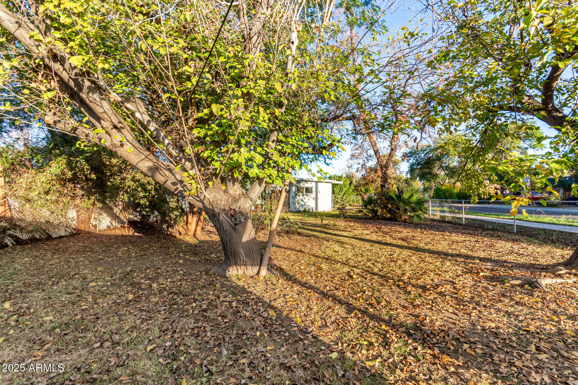 1235 S ROOSEVELT Street