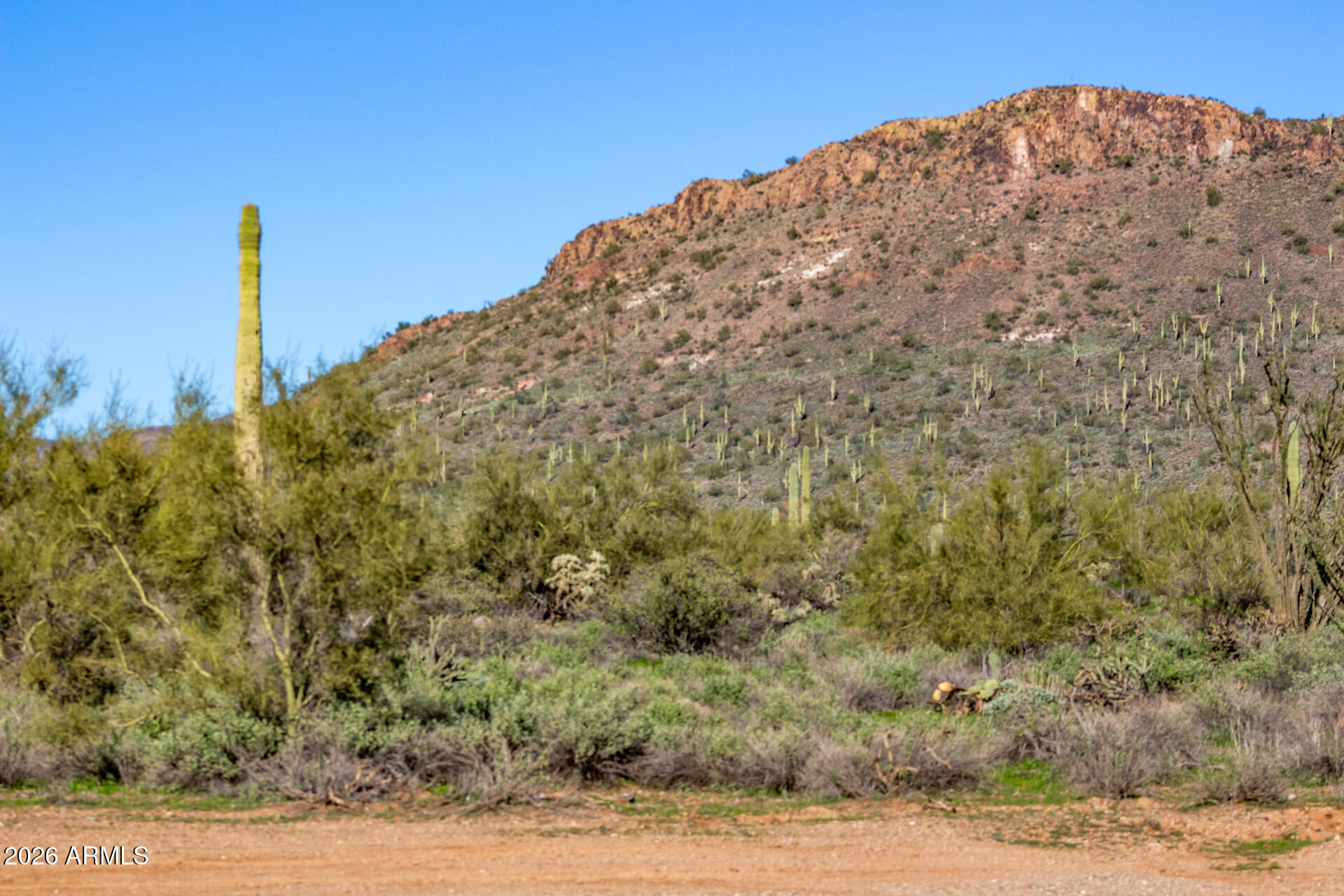 42419 N CENTRAL Avenue