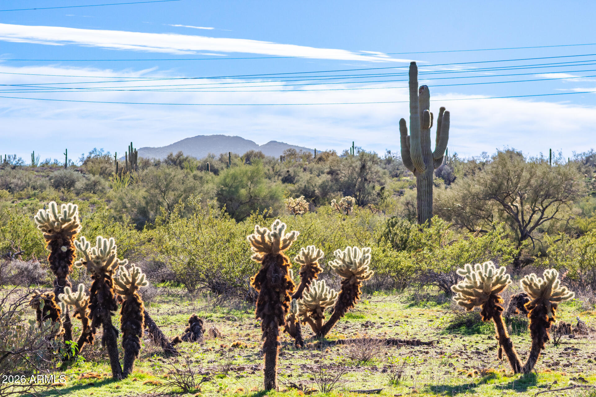 42419 N CENTRAL Avenue