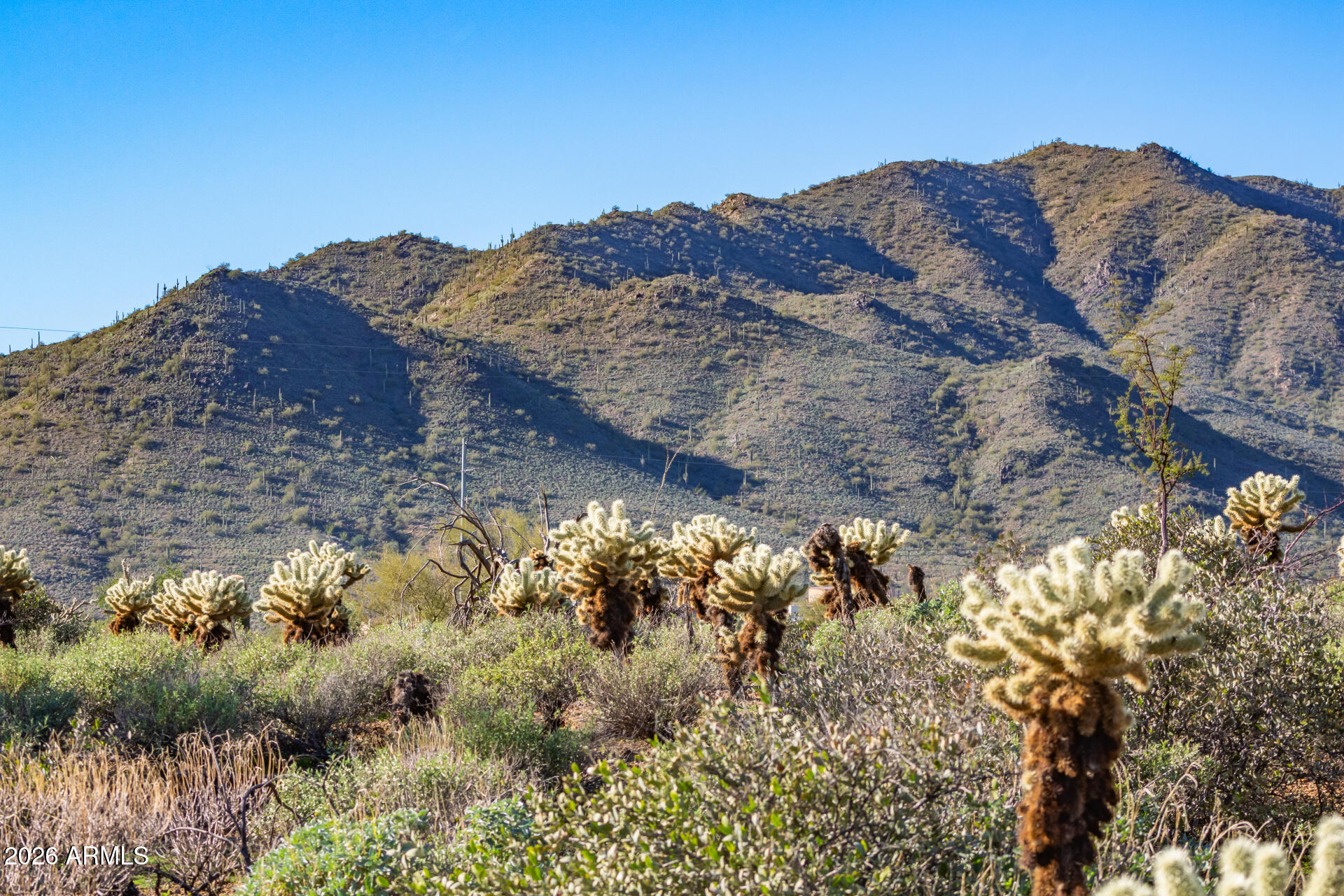 42419 N CENTRAL Avenue