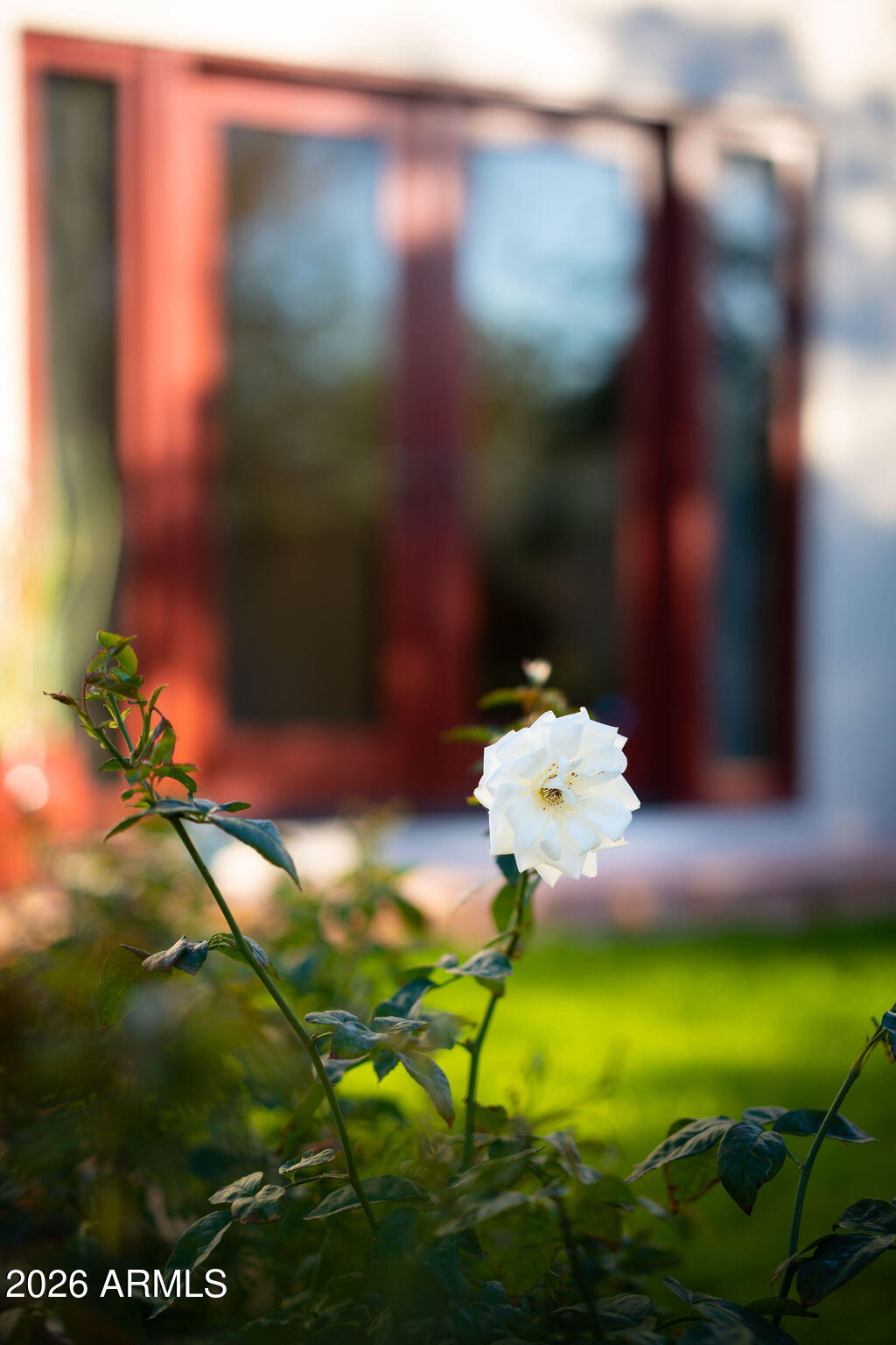 5602 N CAMELBACK CANYON Place