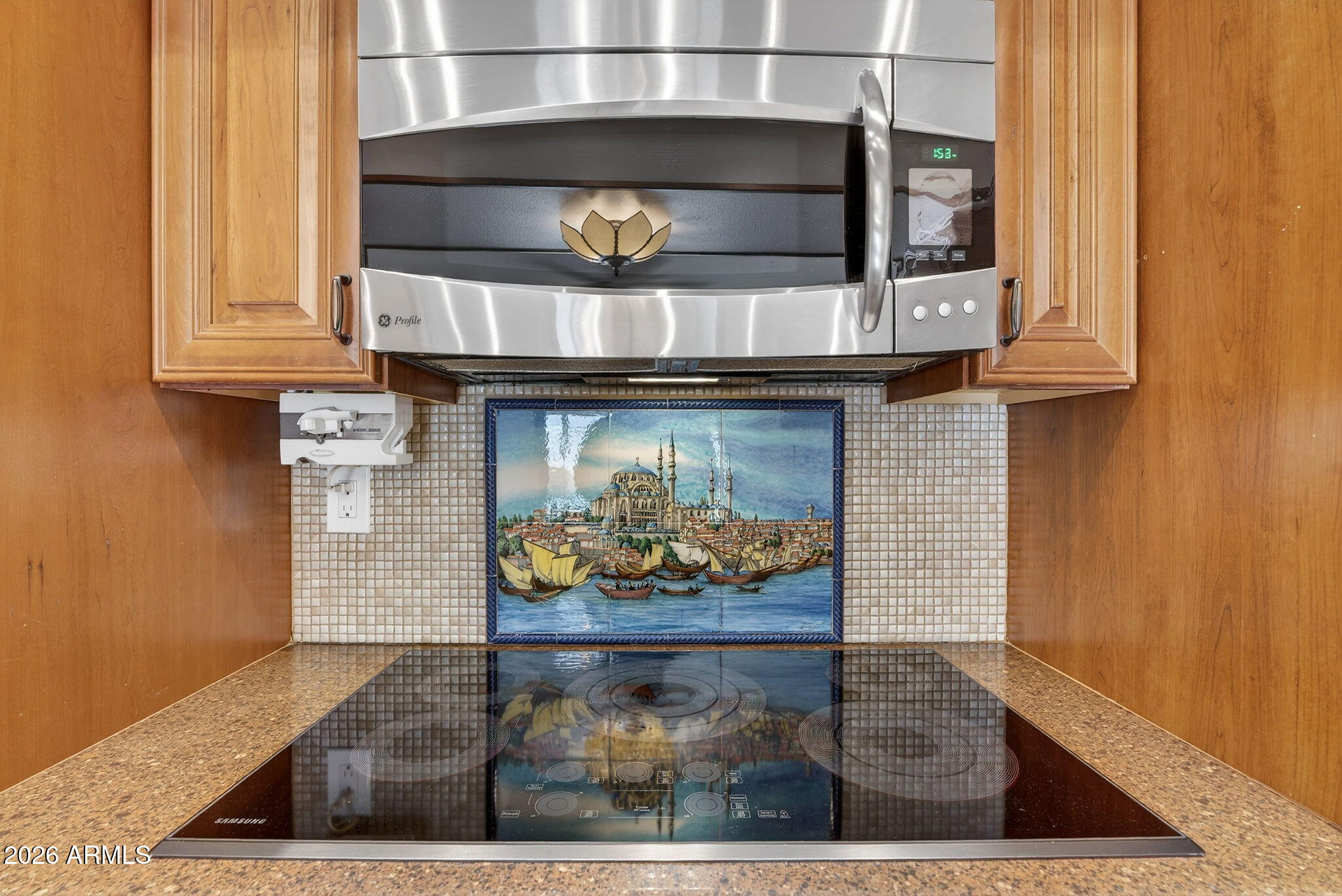 1725 E LA JOLLA Drive