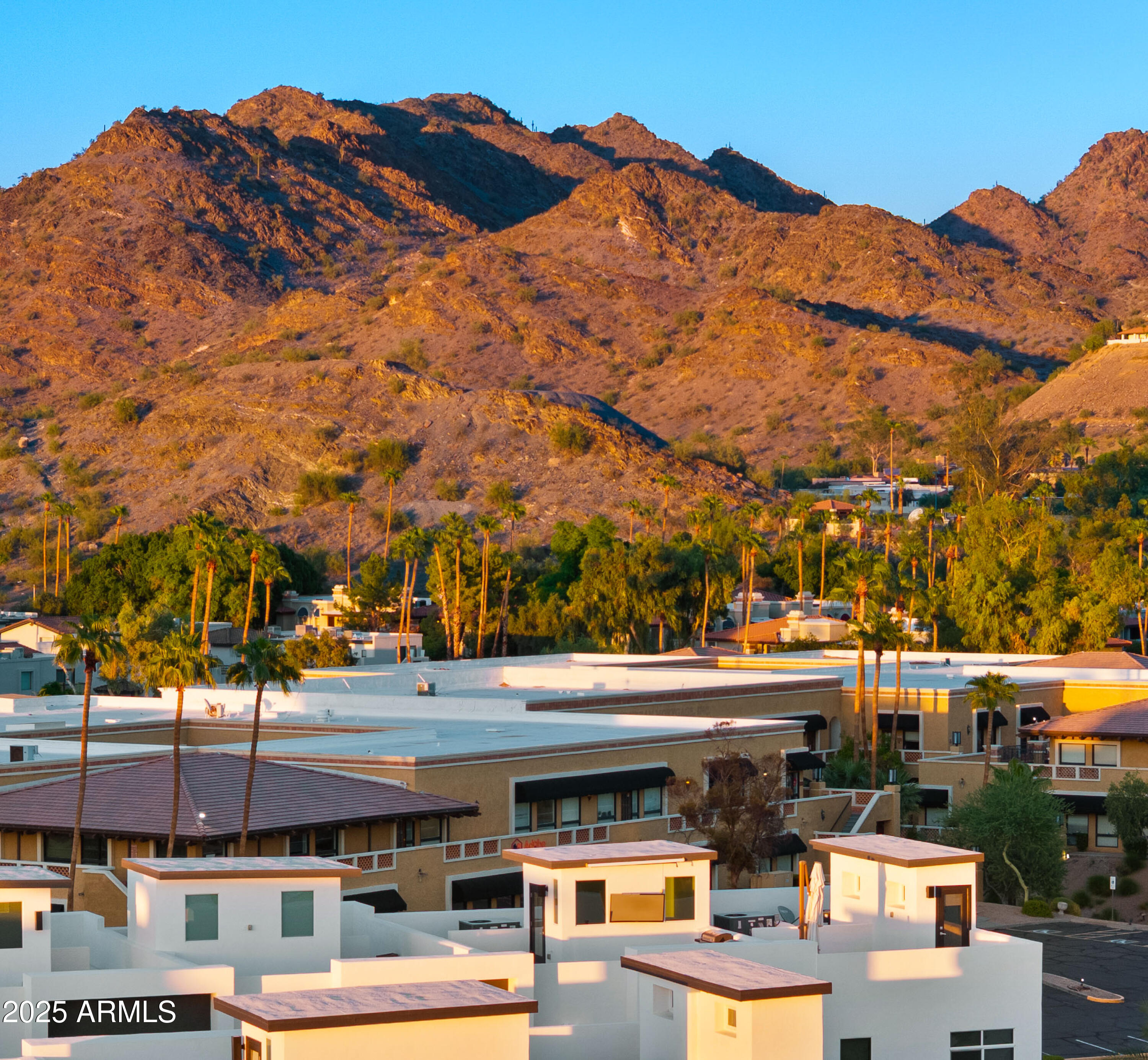 1717 E MORTEN Avenue 5