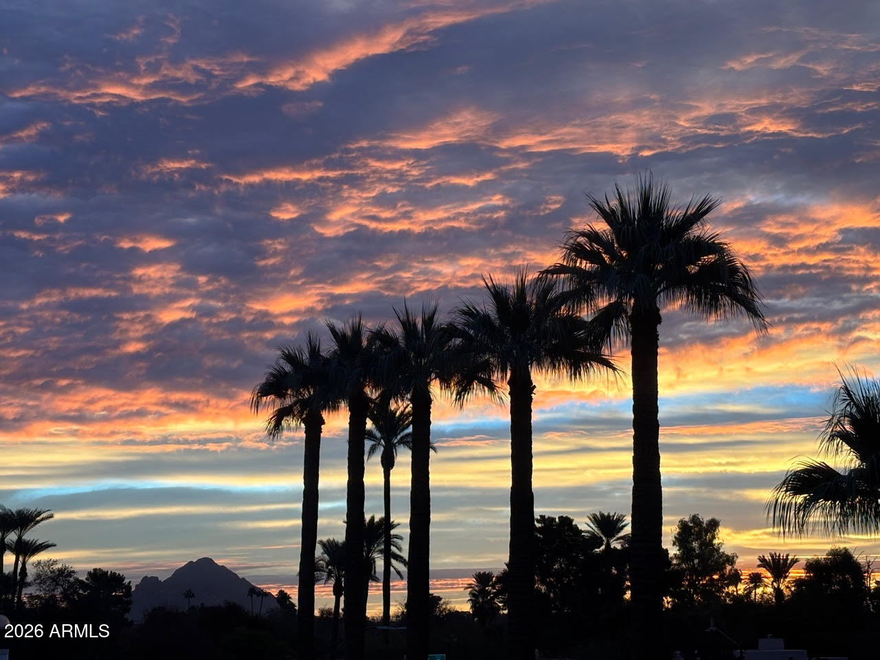 6502 N CENTRAL Avenue B303