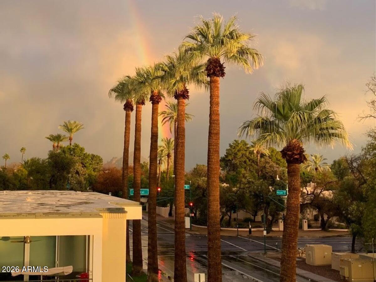 6502 N CENTRAL Avenue B303