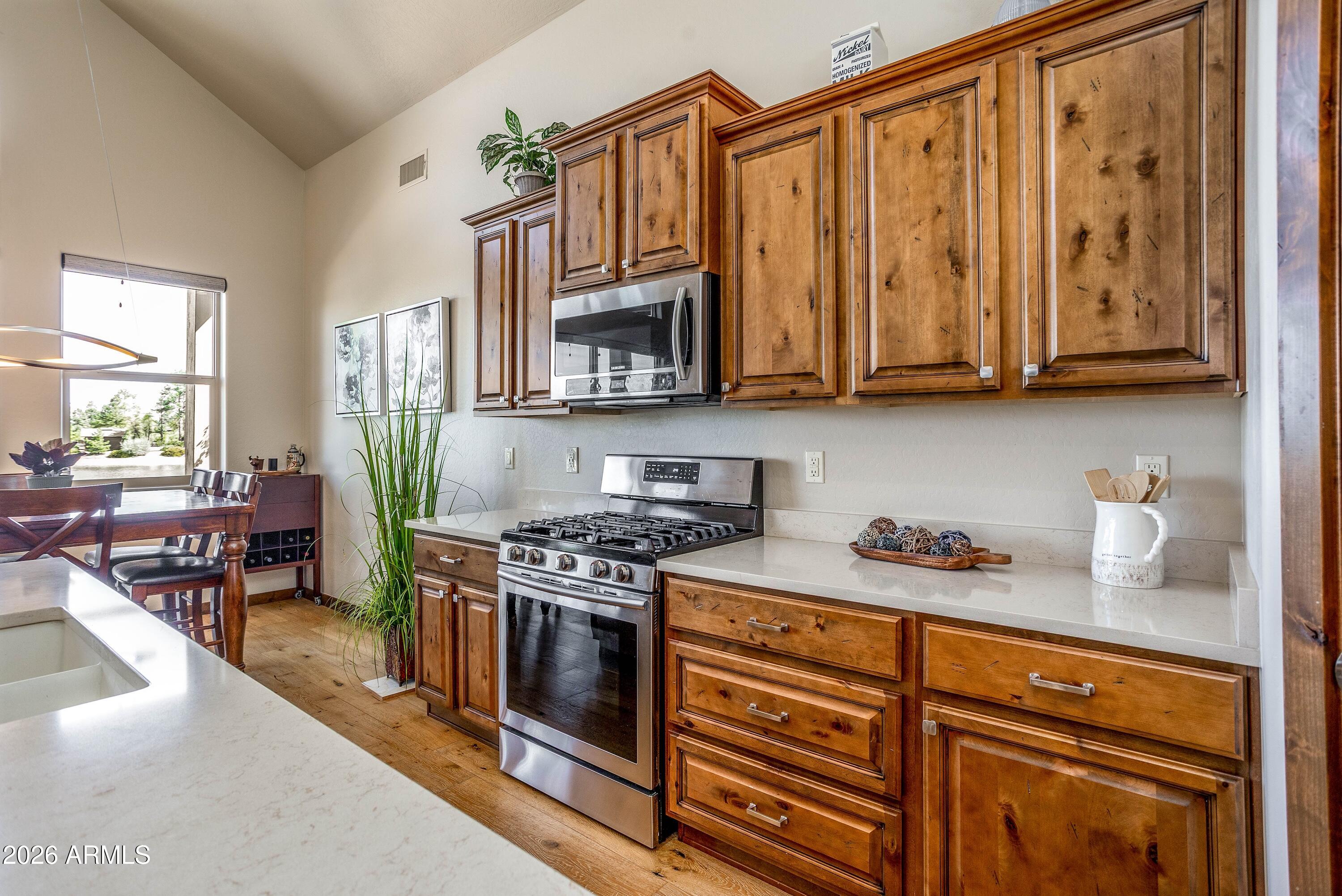 1711 E Velvet Mesquite Court