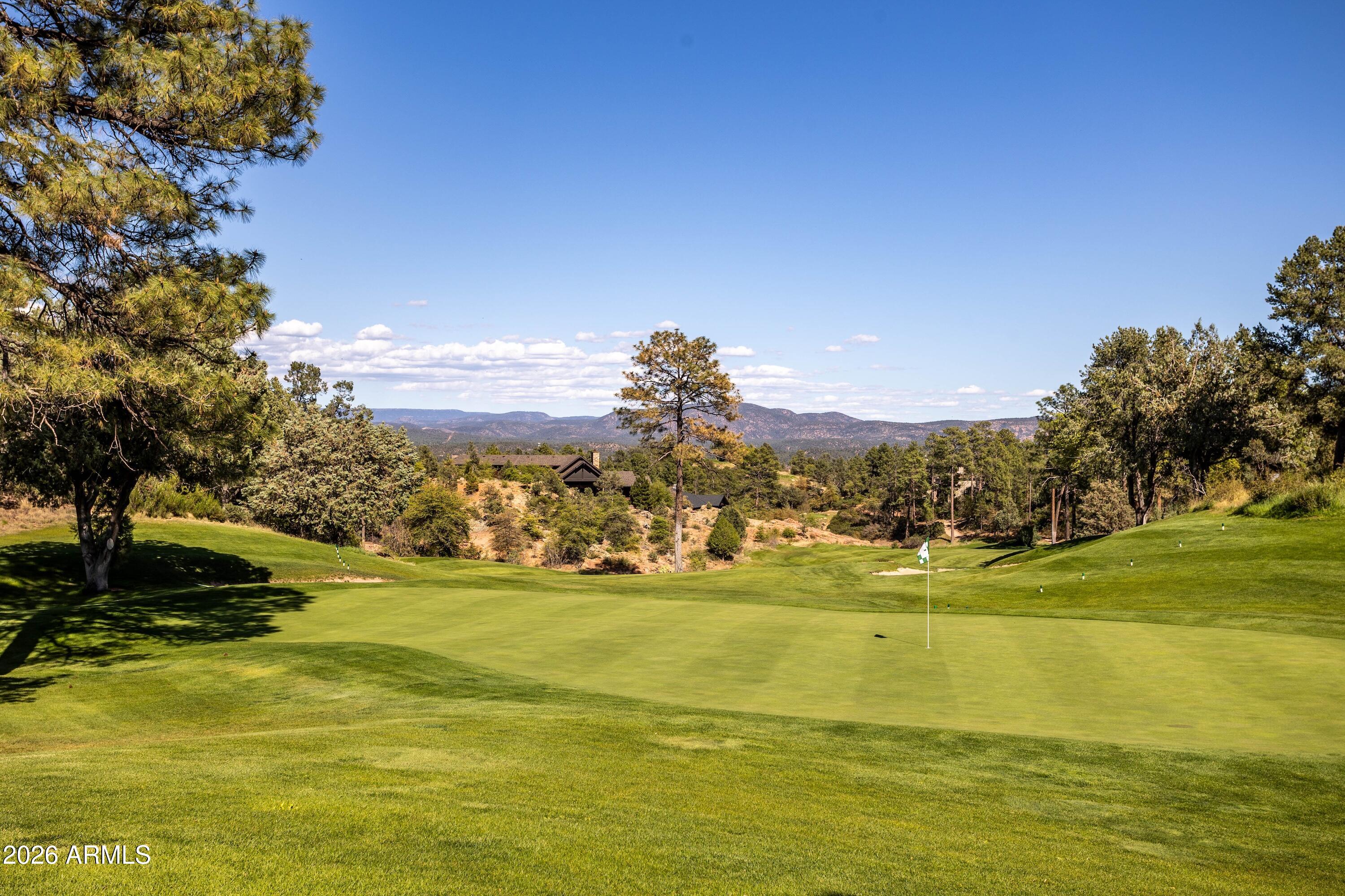 1711 E Velvet Mesquite Court