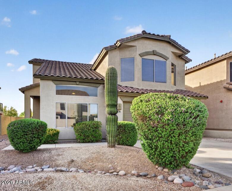 7474 E CHRISTMAS CHOLLA Drive