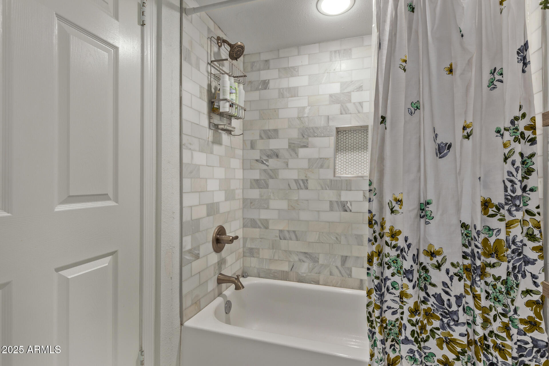 334 W MEDLOCK Drive D102