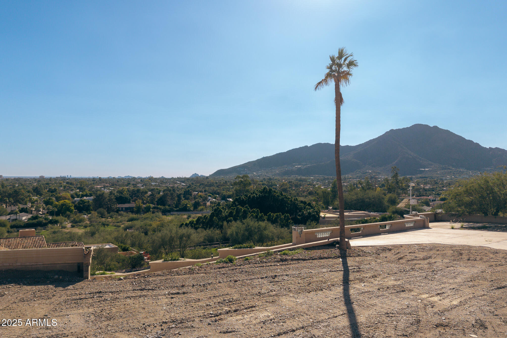 Vacant graded lot with a tall palm tree and mountain views over Paradise Valley.