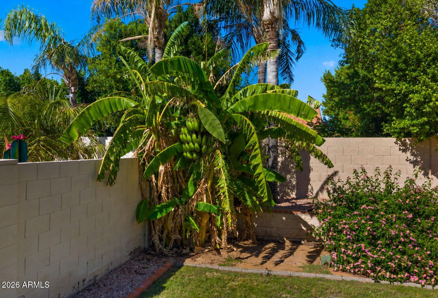 5448 E SAINT JOHN Road