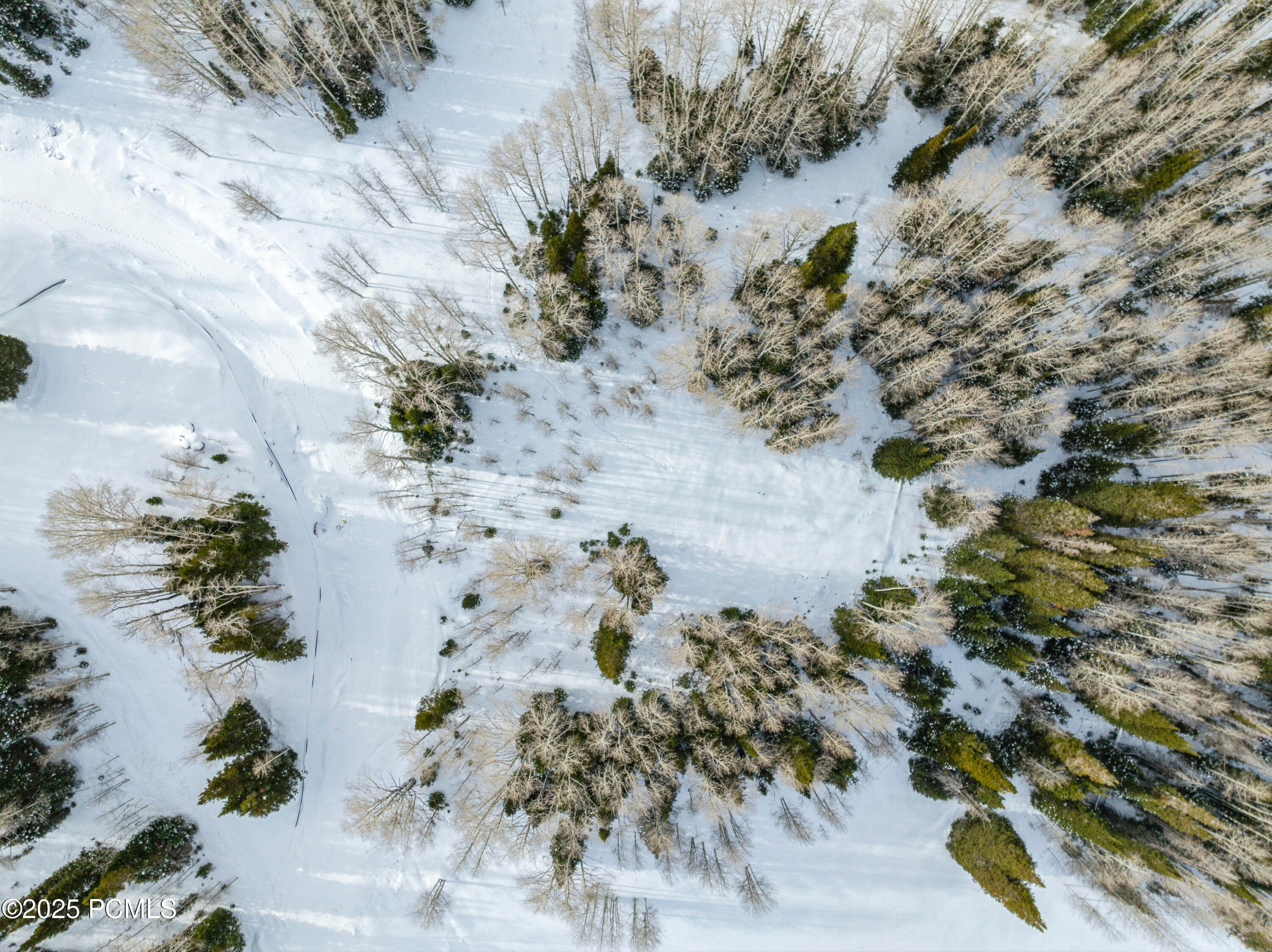 276 White Pine Canyon Road 1