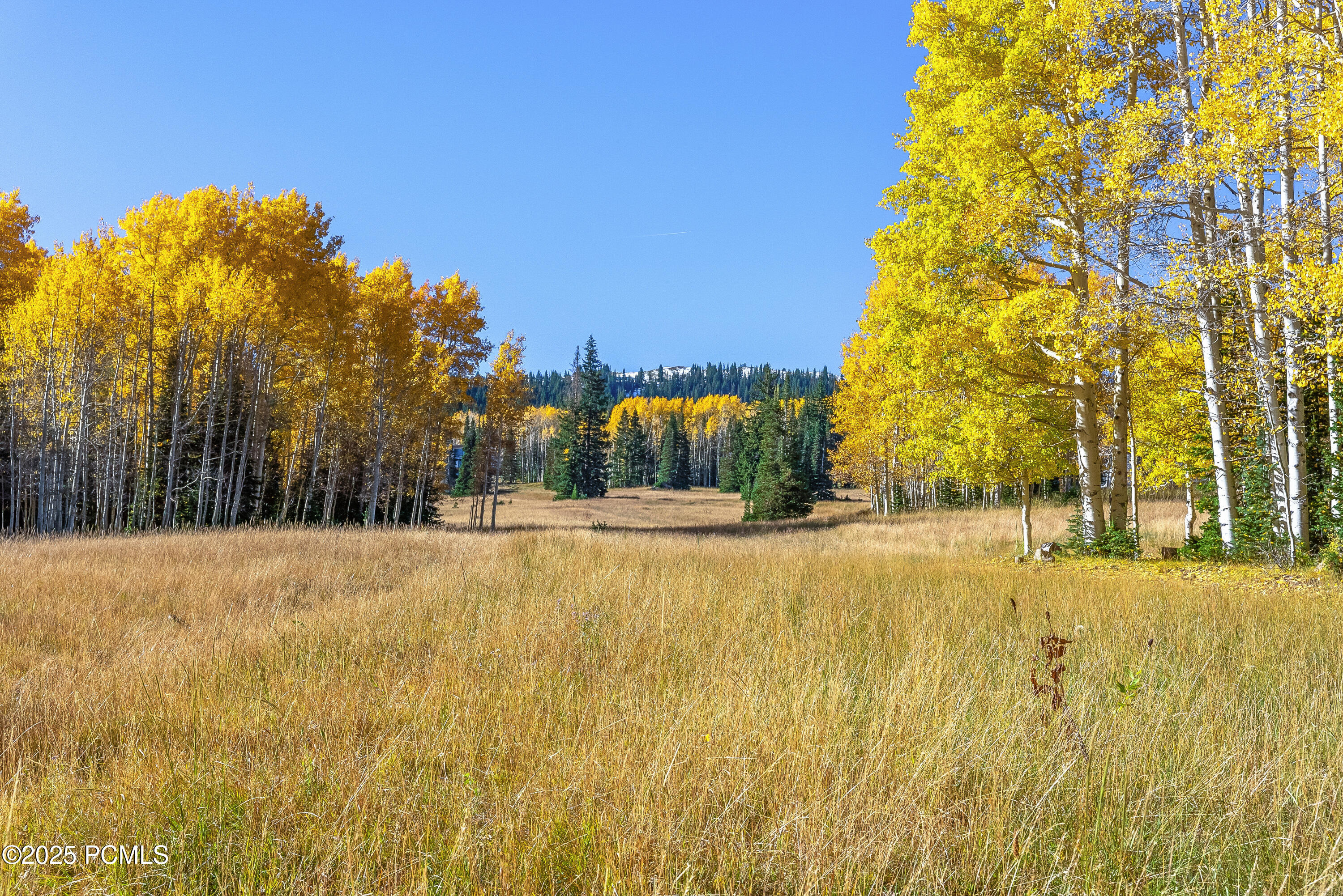 280 White Pine Canyon Road 4