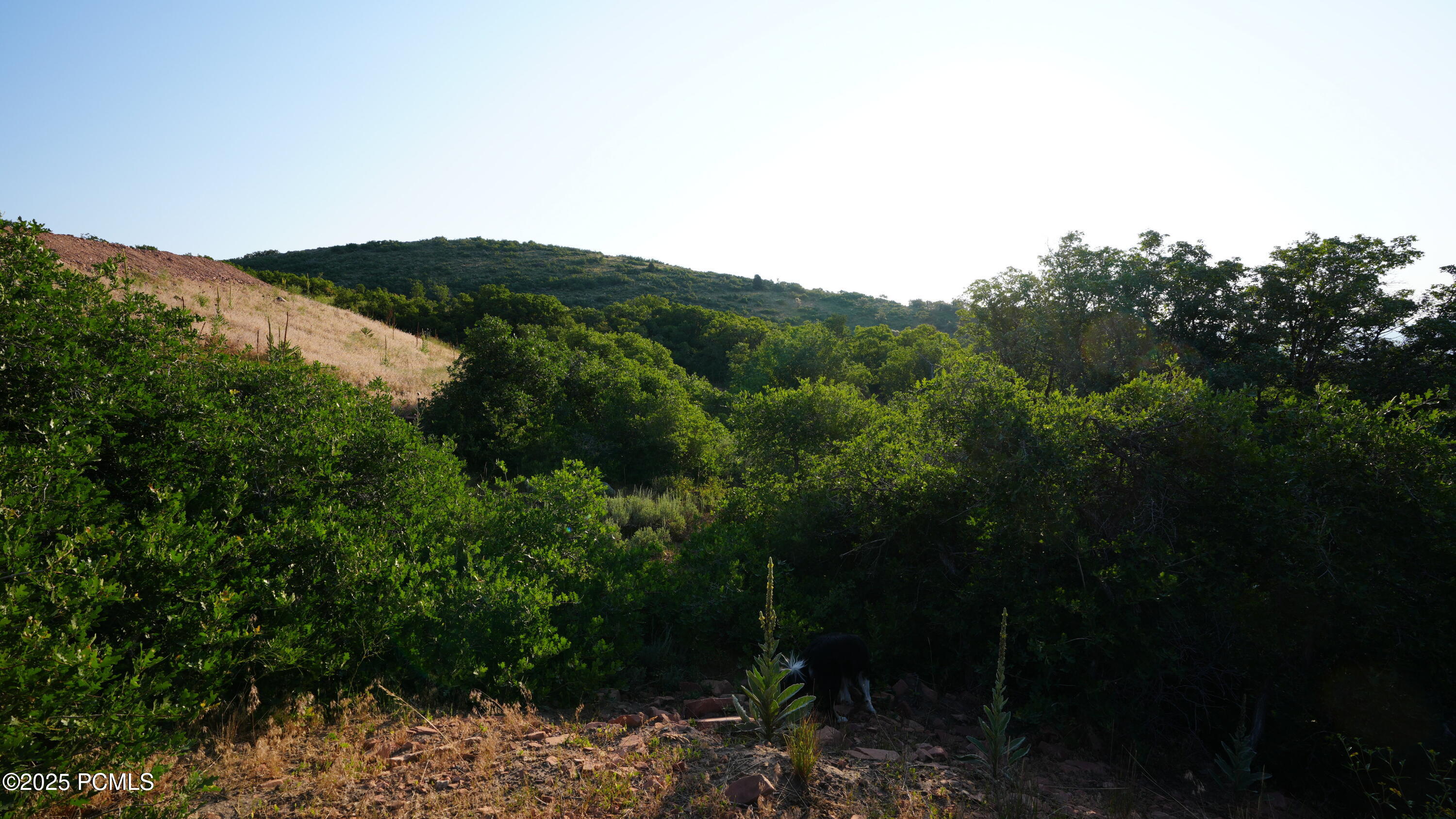 2097 E Peak View Drive