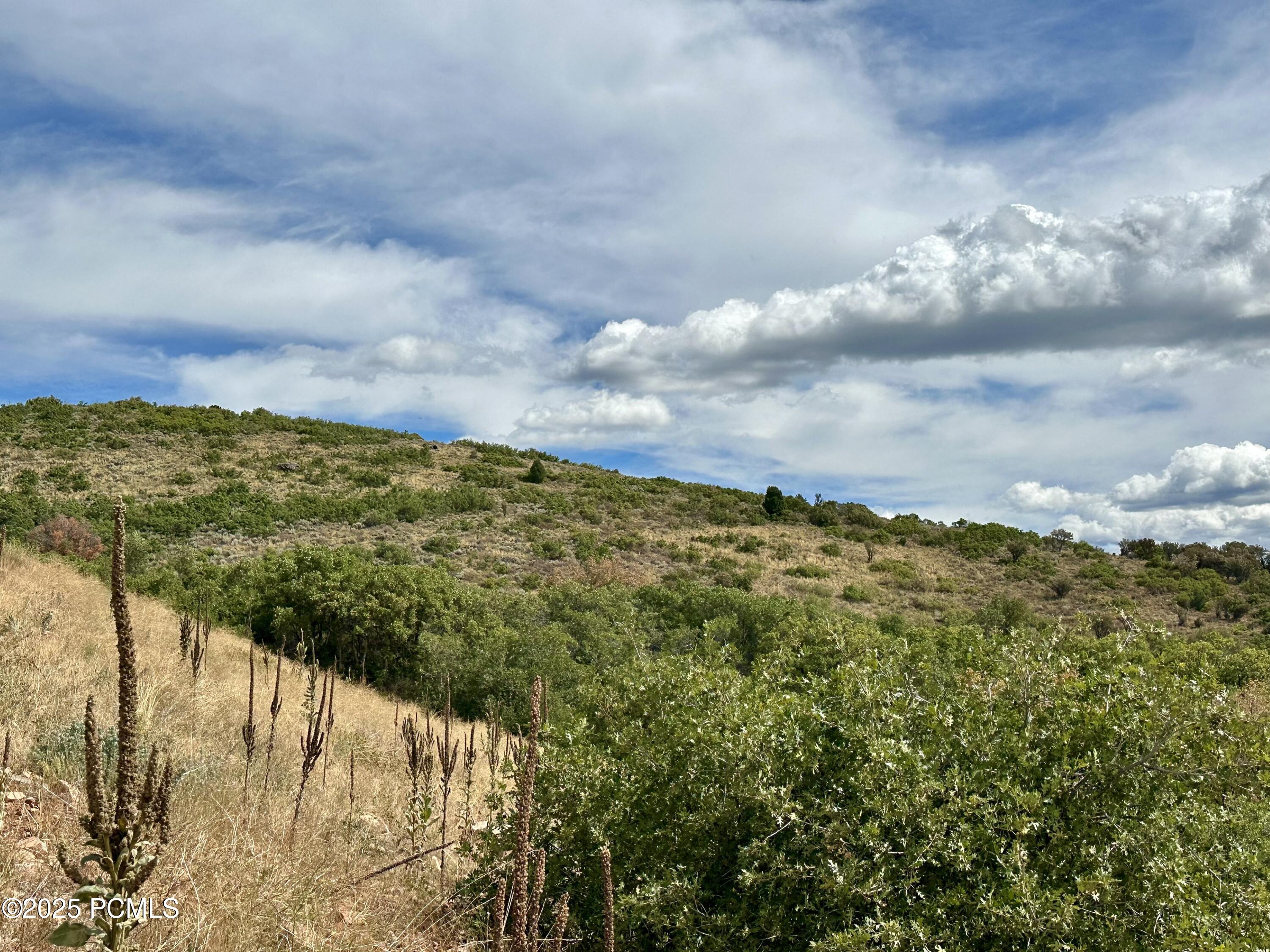 2097 E Peak View Drive