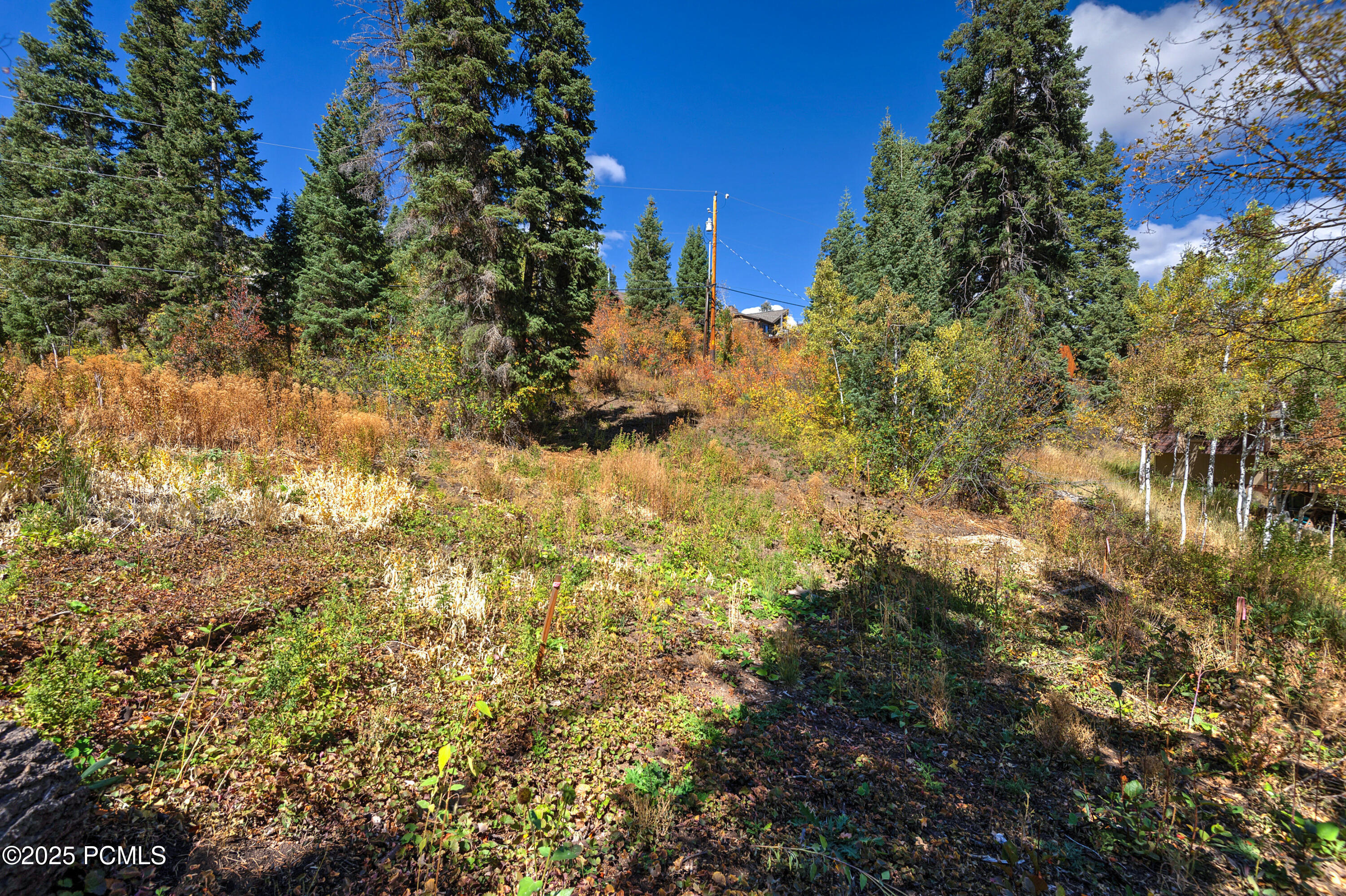 195 Saint Moritz Strasse, 87