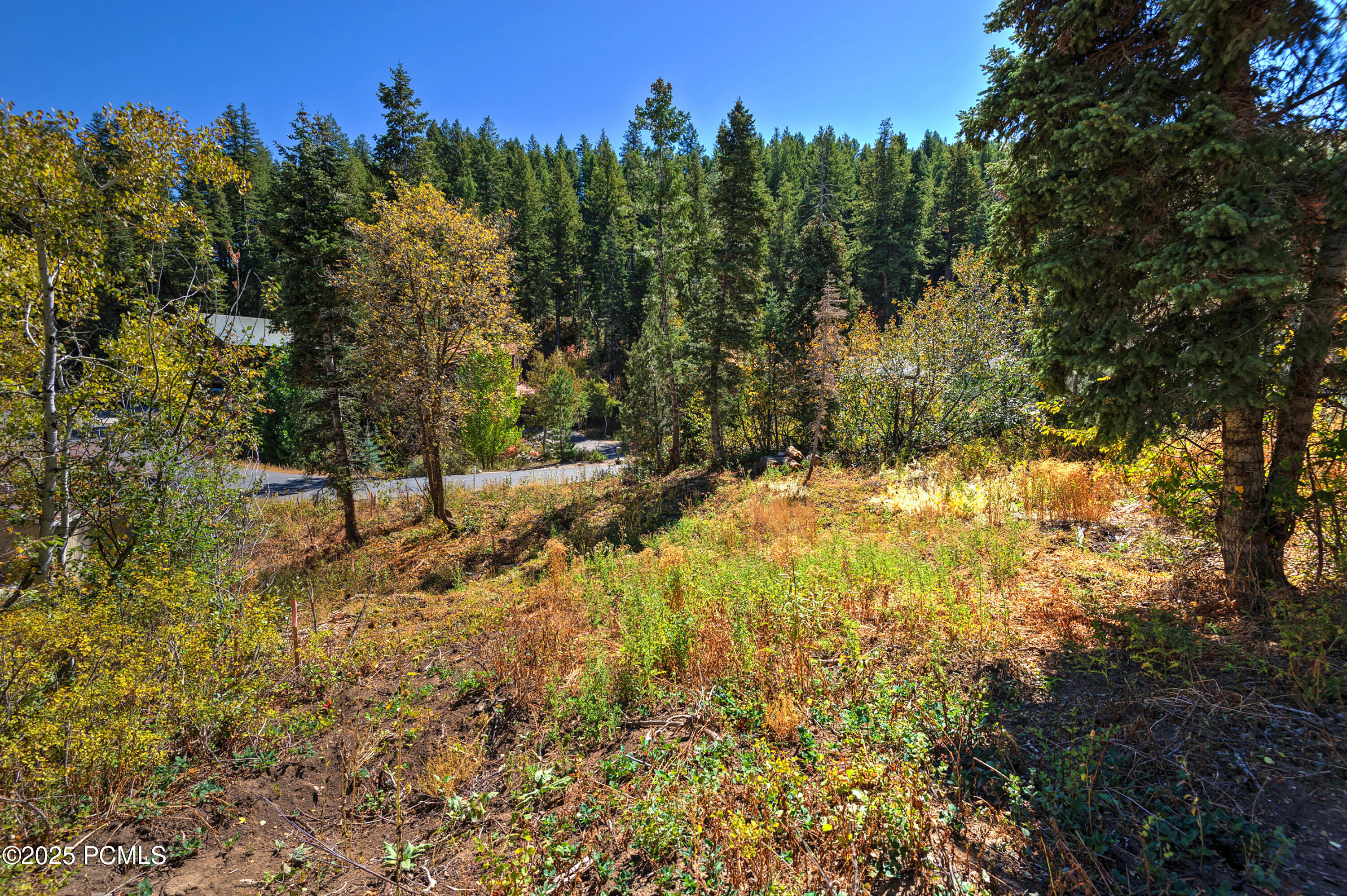 195 Saint Moritz Strasse, 87