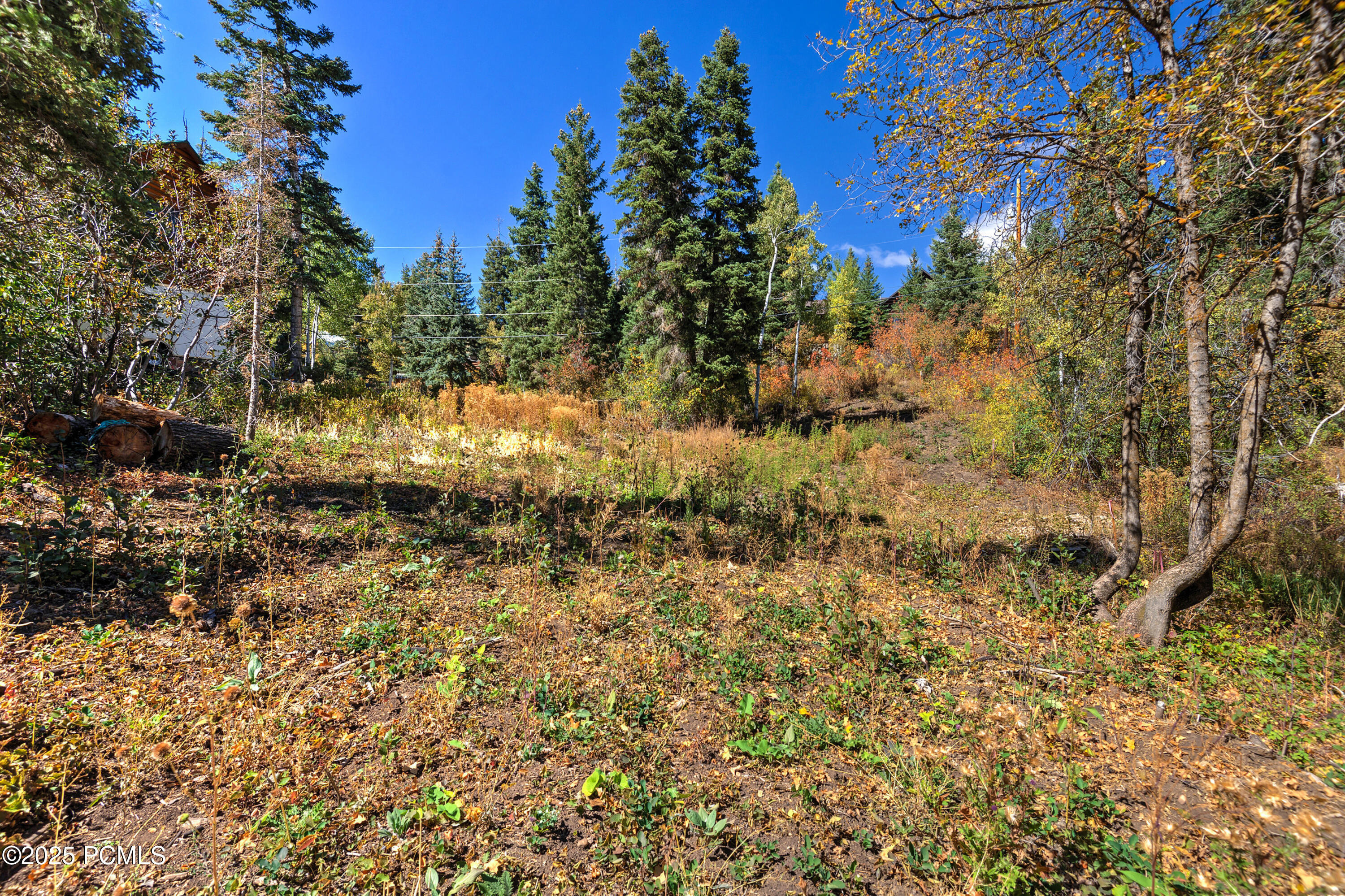 195 Saint Moritz Strasse, 87