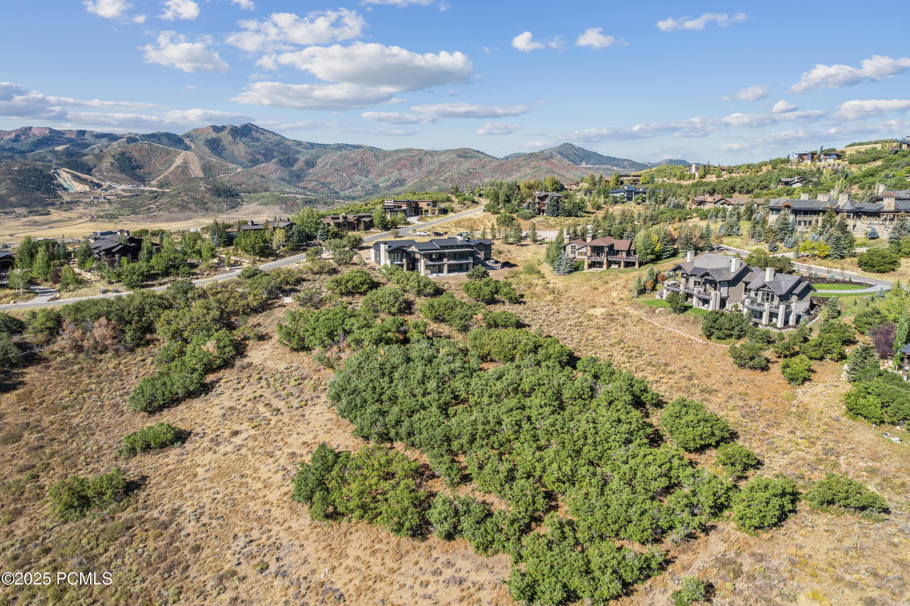 1146 Snow Berry Street, 62