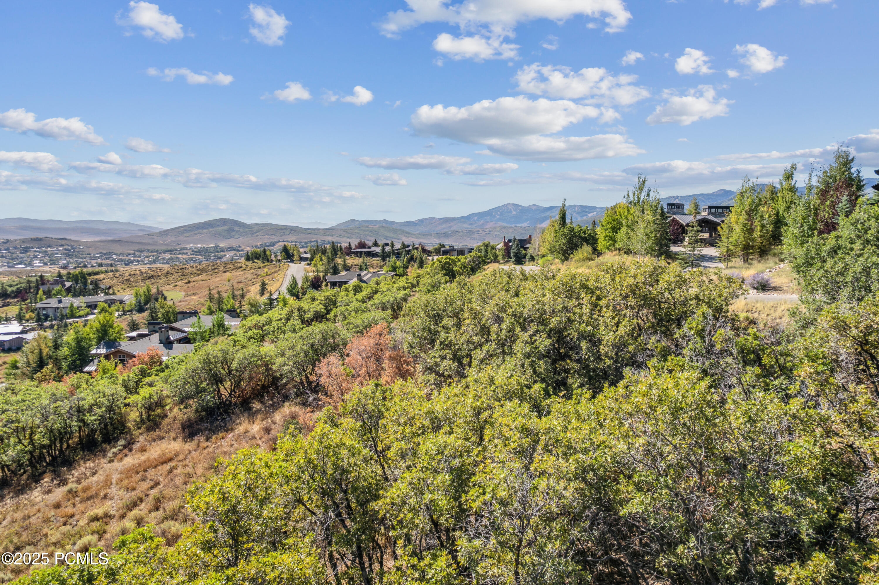 1146 Snow Berry Street, 62