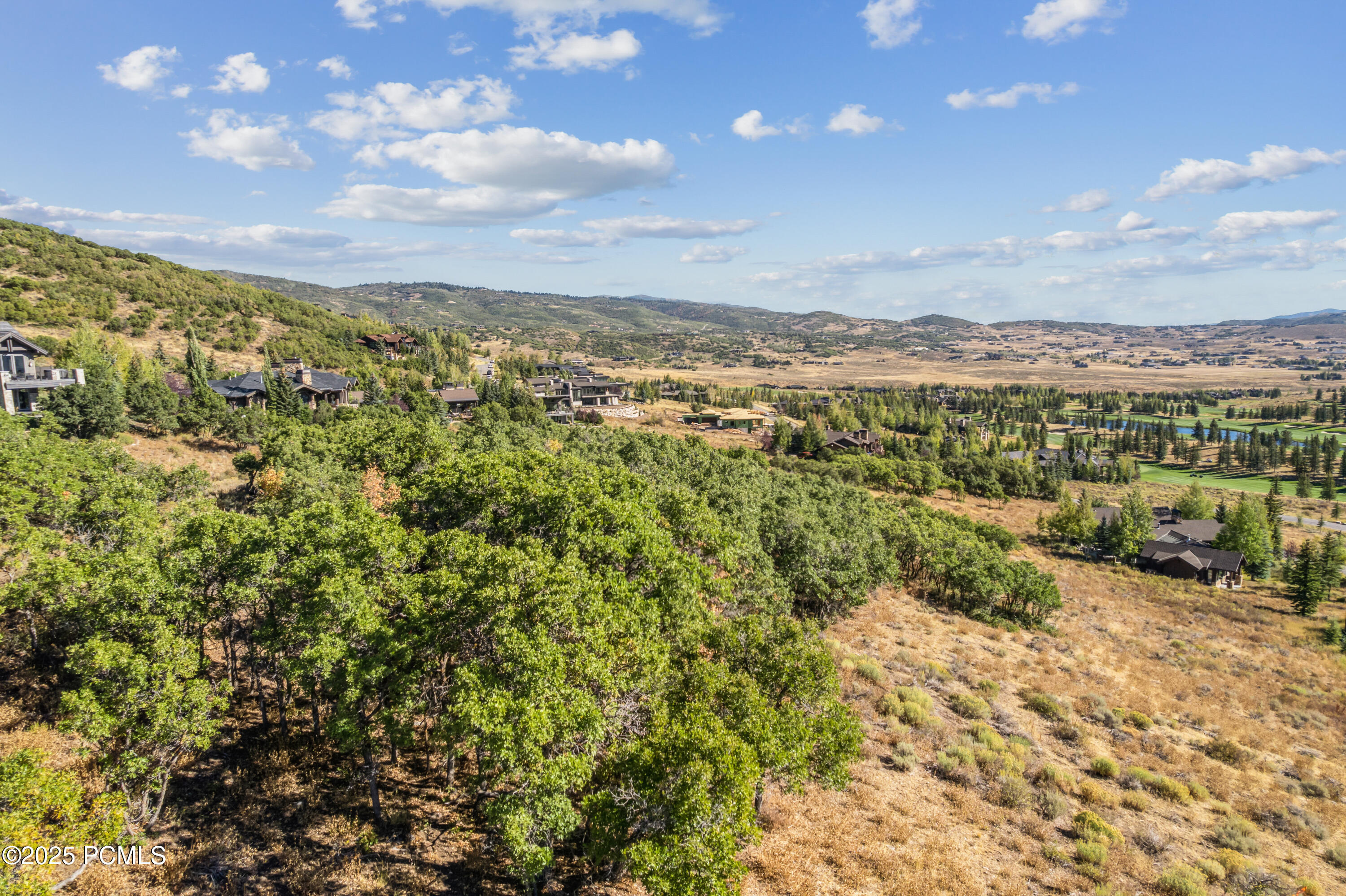 1146 Snow Berry Street, 62