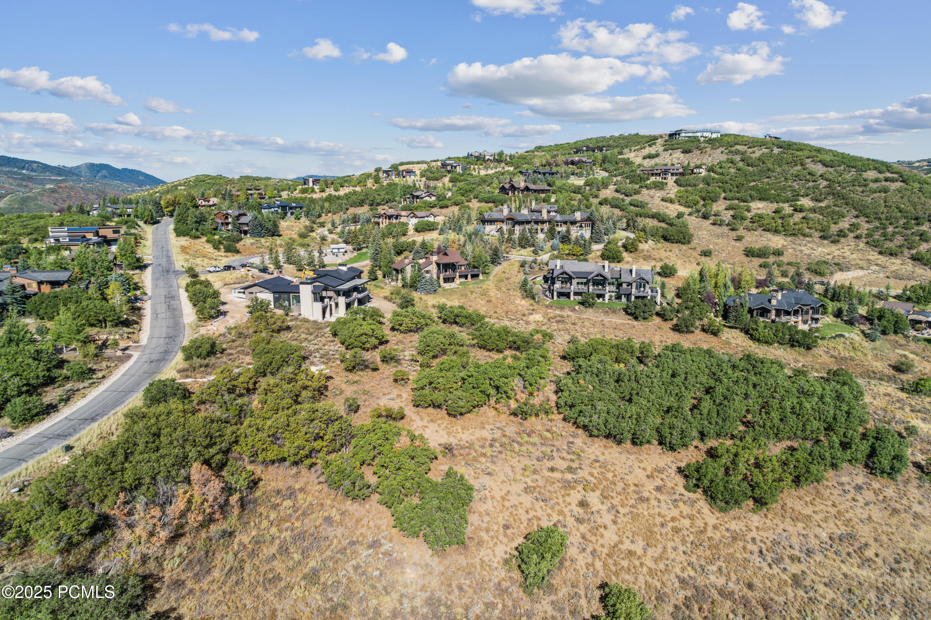 1146 Snow Berry Street, 62