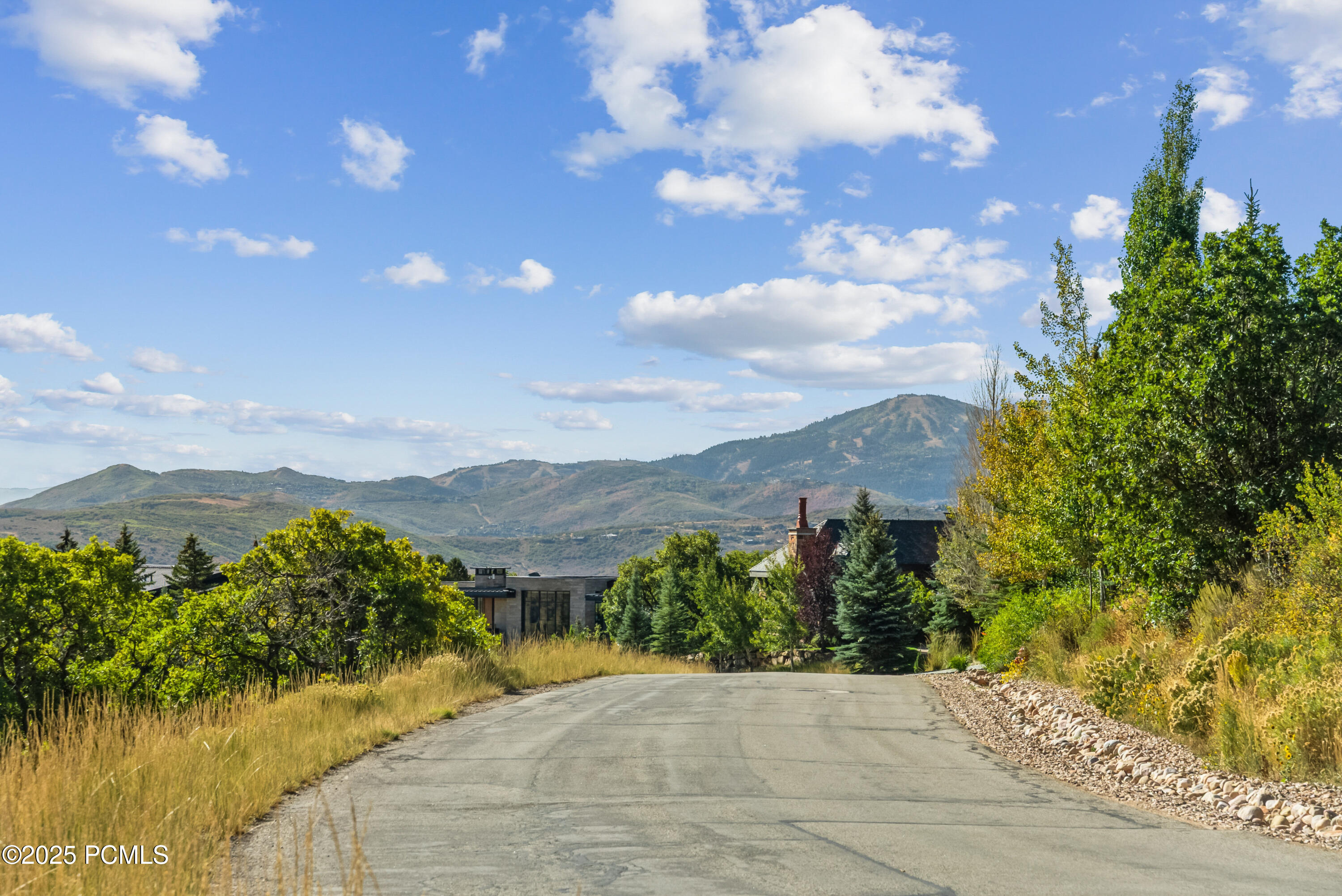 1146 Snow Berry Street, 62