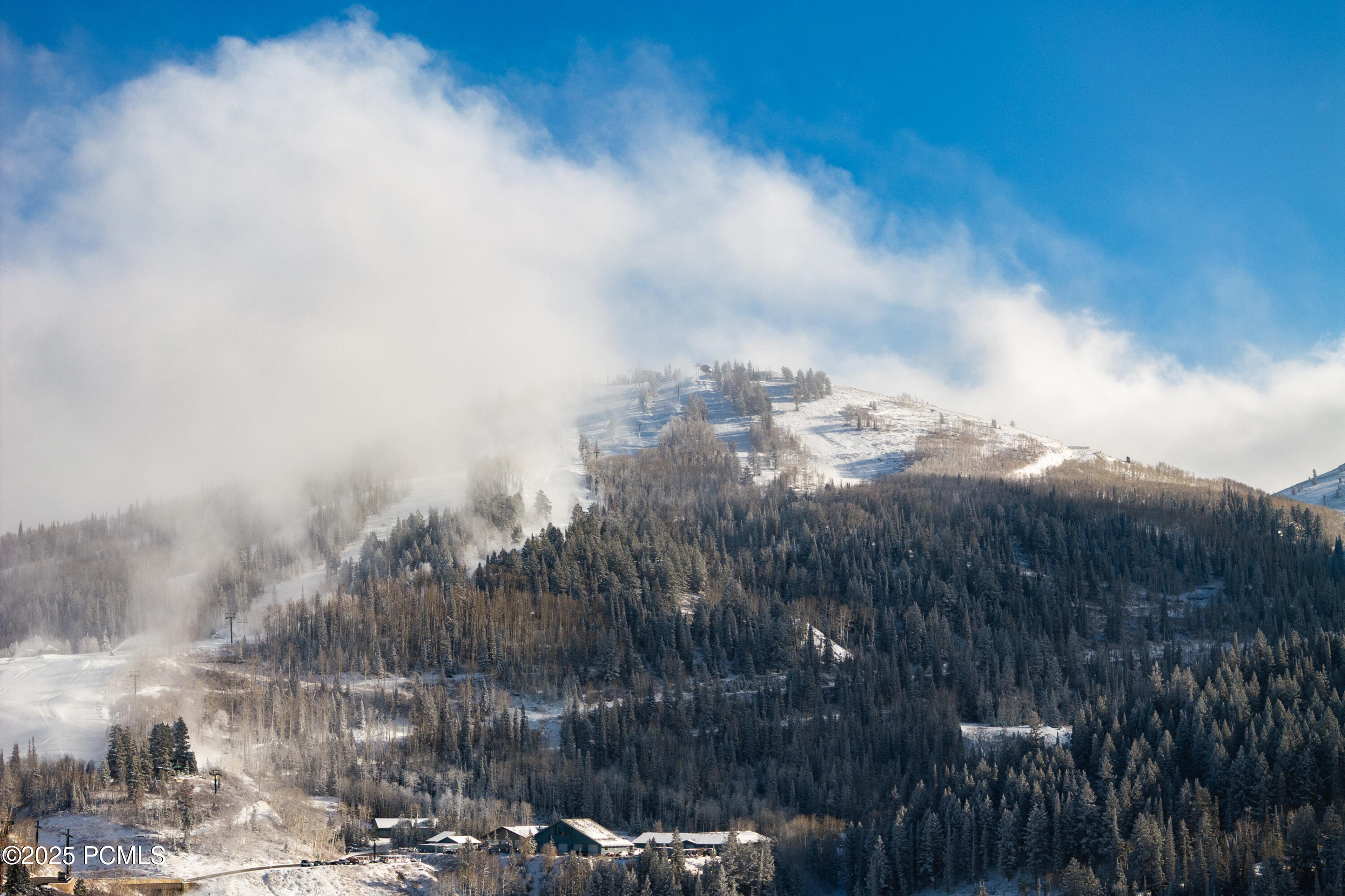 8939 Moonshadow Court