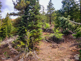 36 Sky Haven Mountain Retreat 36