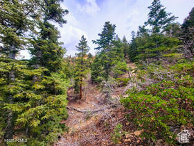 36 Sky Haven Mountain Retreat 36