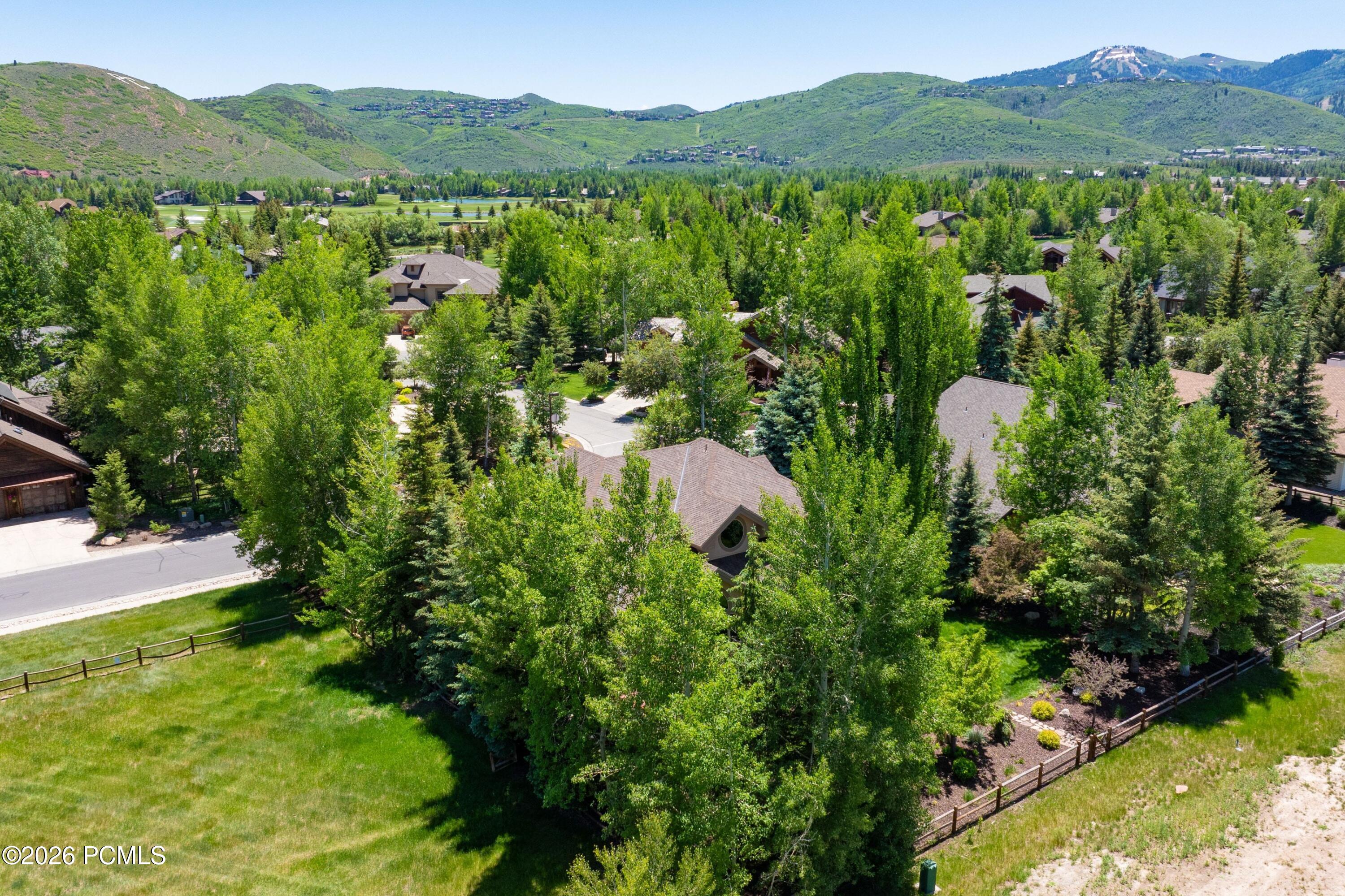 2808 American Saddler Drive