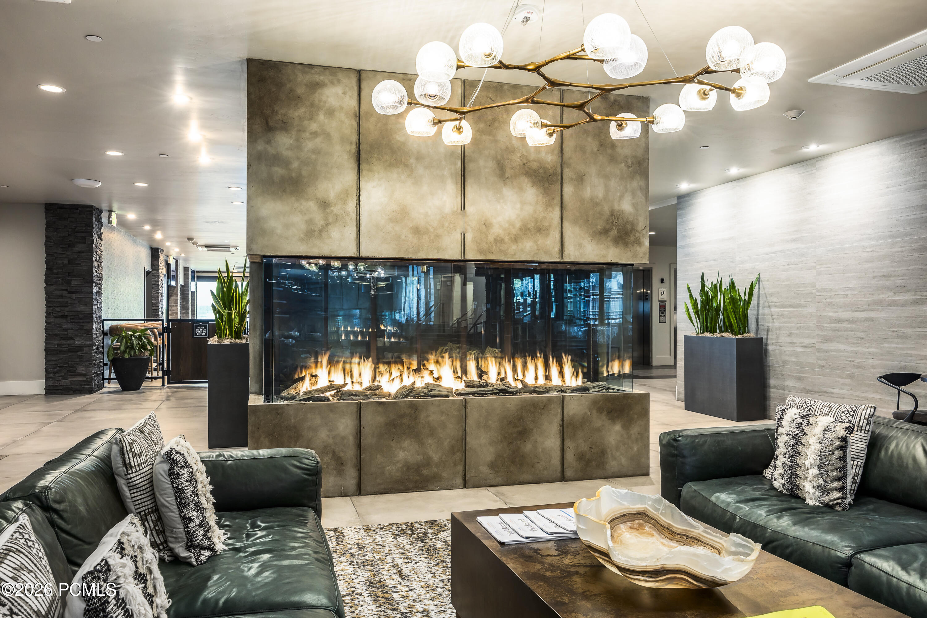 909 W Peace Tree Trail 311