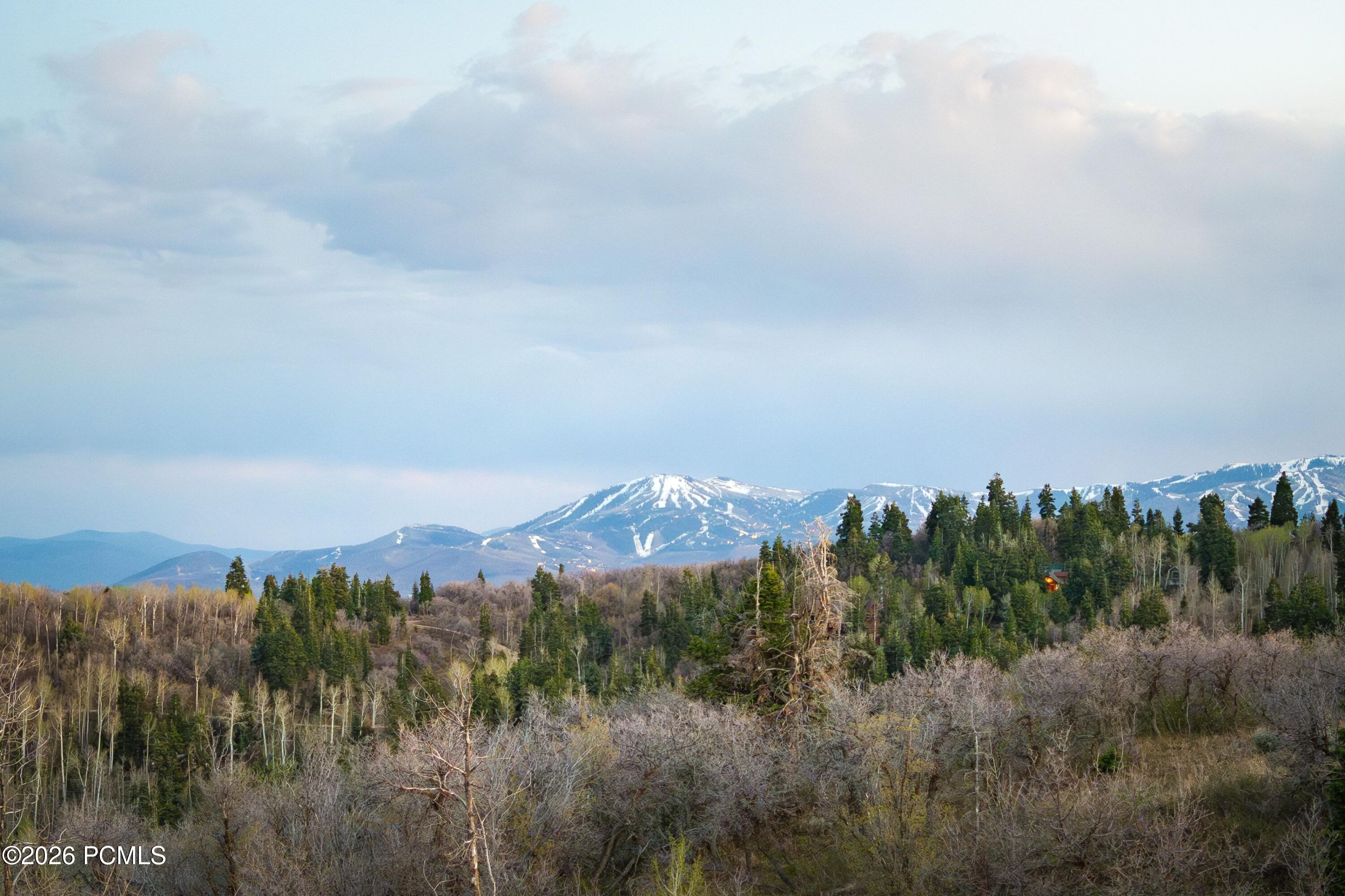 289 Porcupine Loop