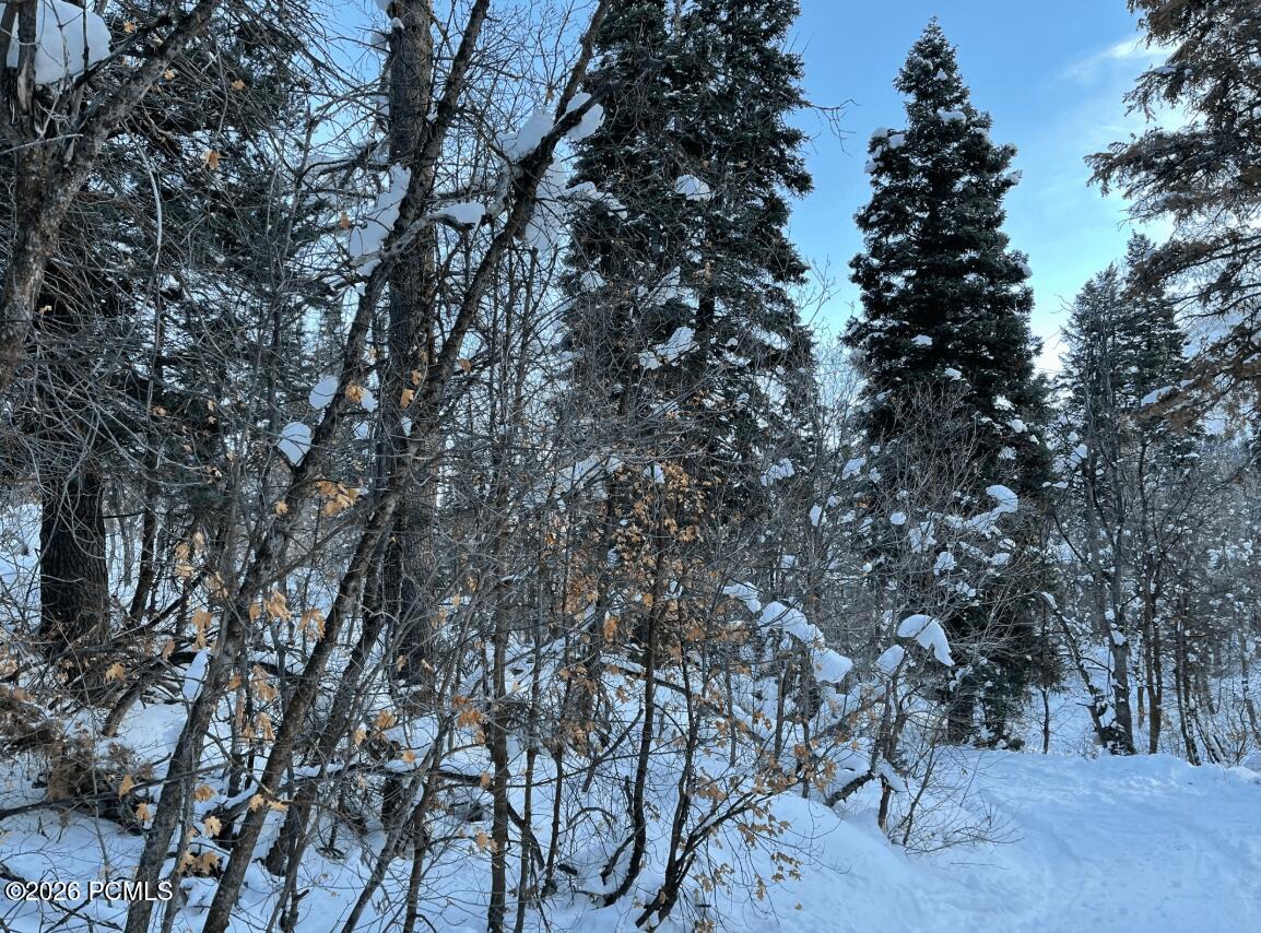 20 Success Trail 20