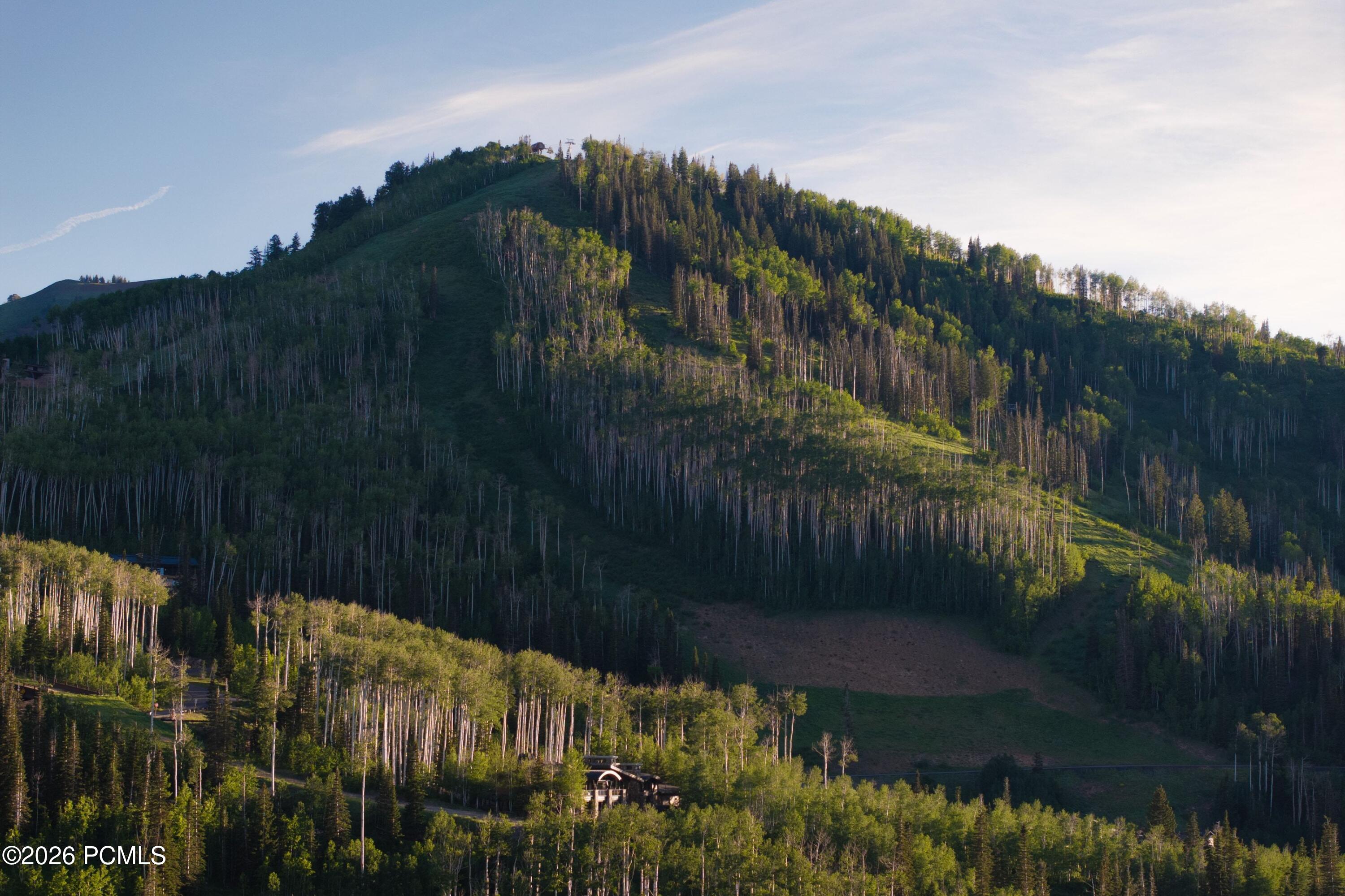 217 White Pine Canyon Road