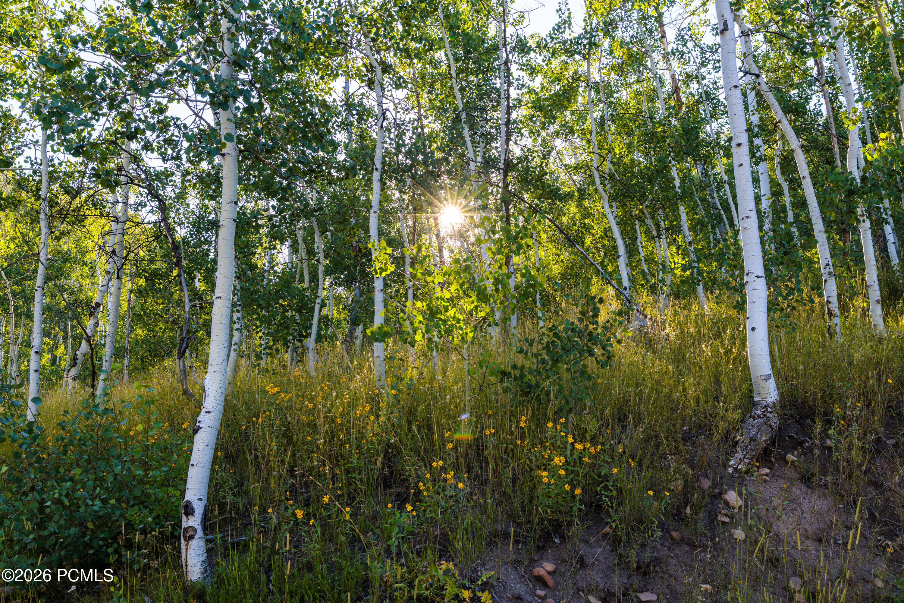 2070 Uintah View Drive Pi-G-50