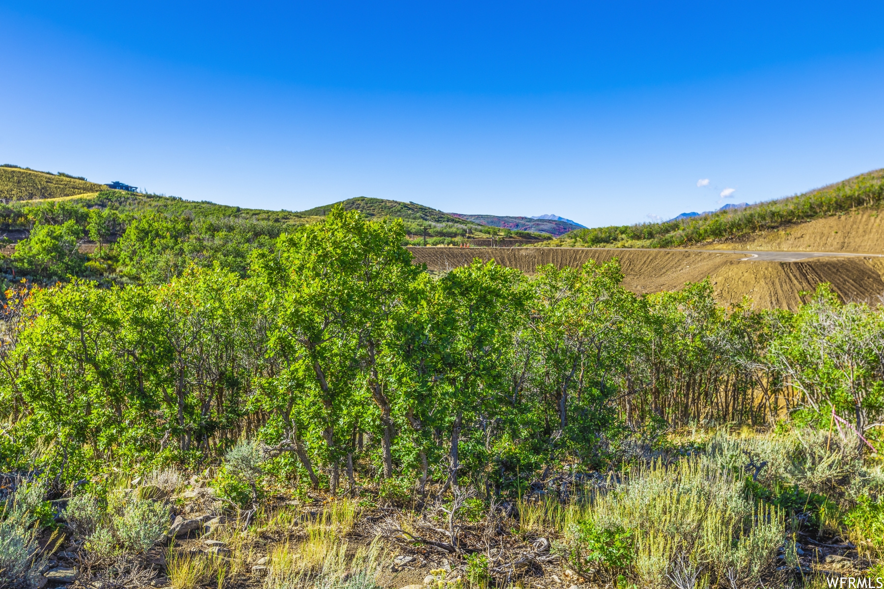 2049 E ADVENTURE CT Unit: 113