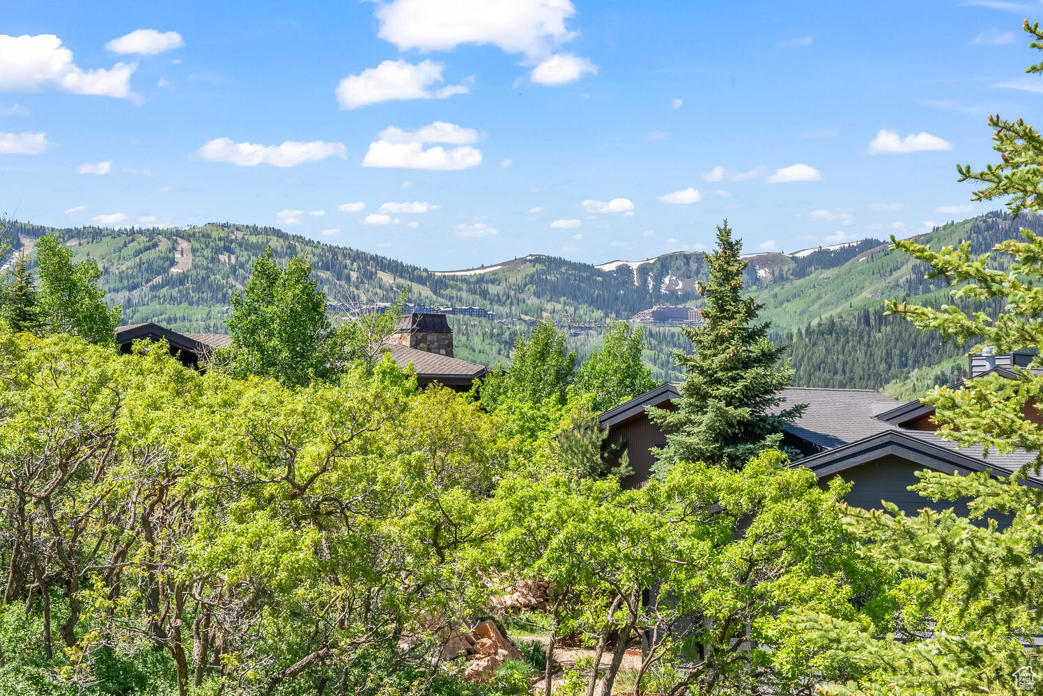 1514 APRIL MOUNTAIN DR